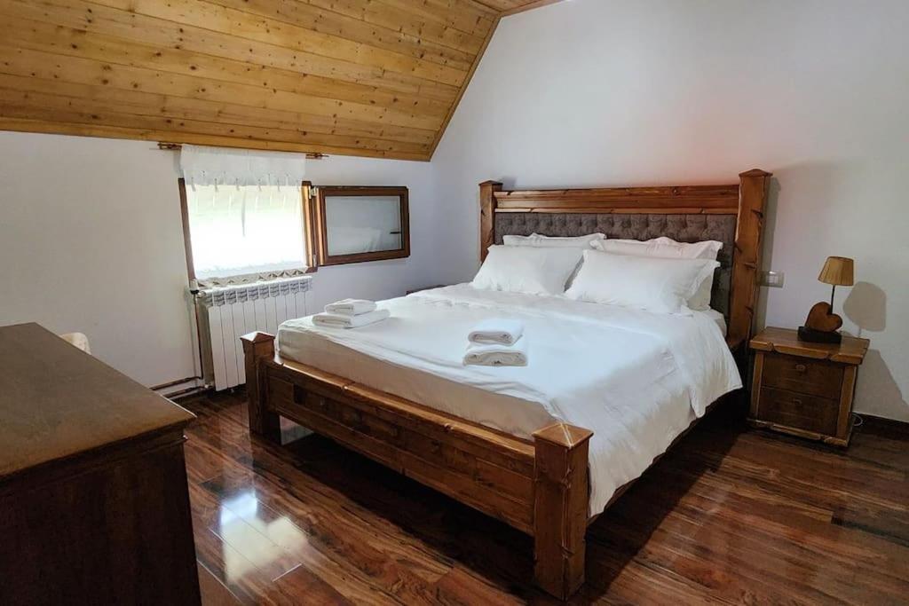 Oda e Arbërit photo 5