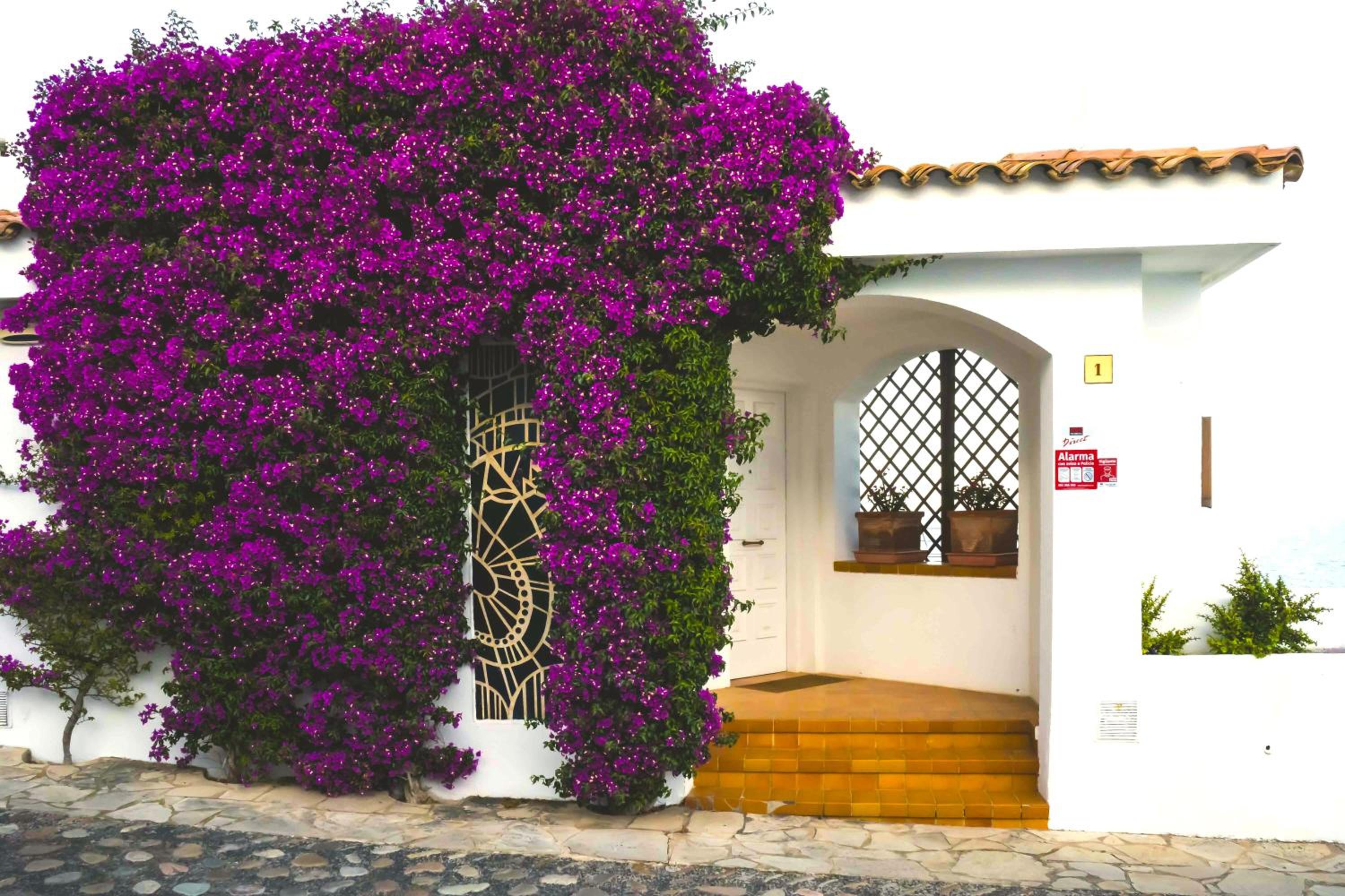 Fantástica casa frente al mar con jardín privado