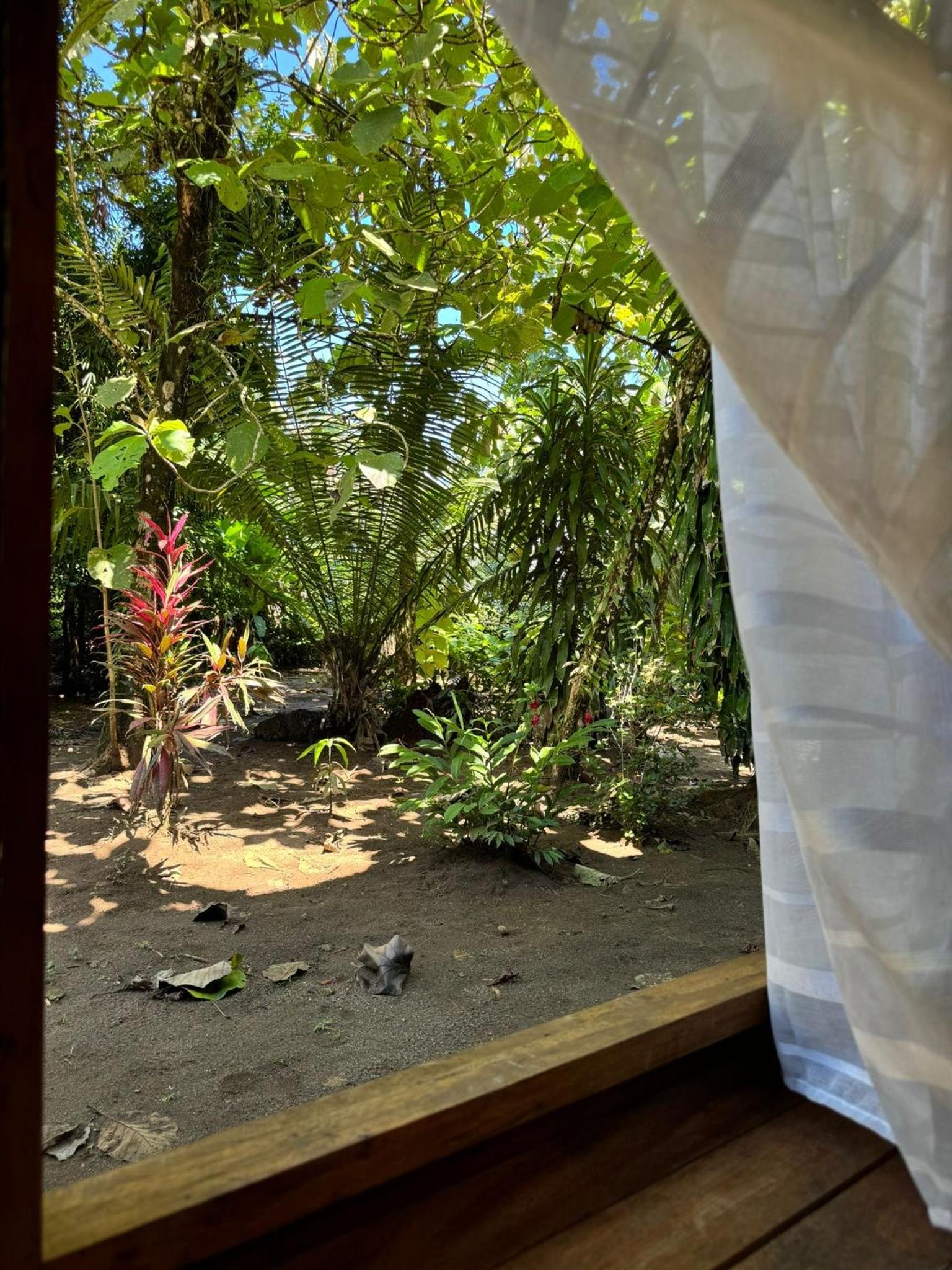 Madre Selva Eco Lodge