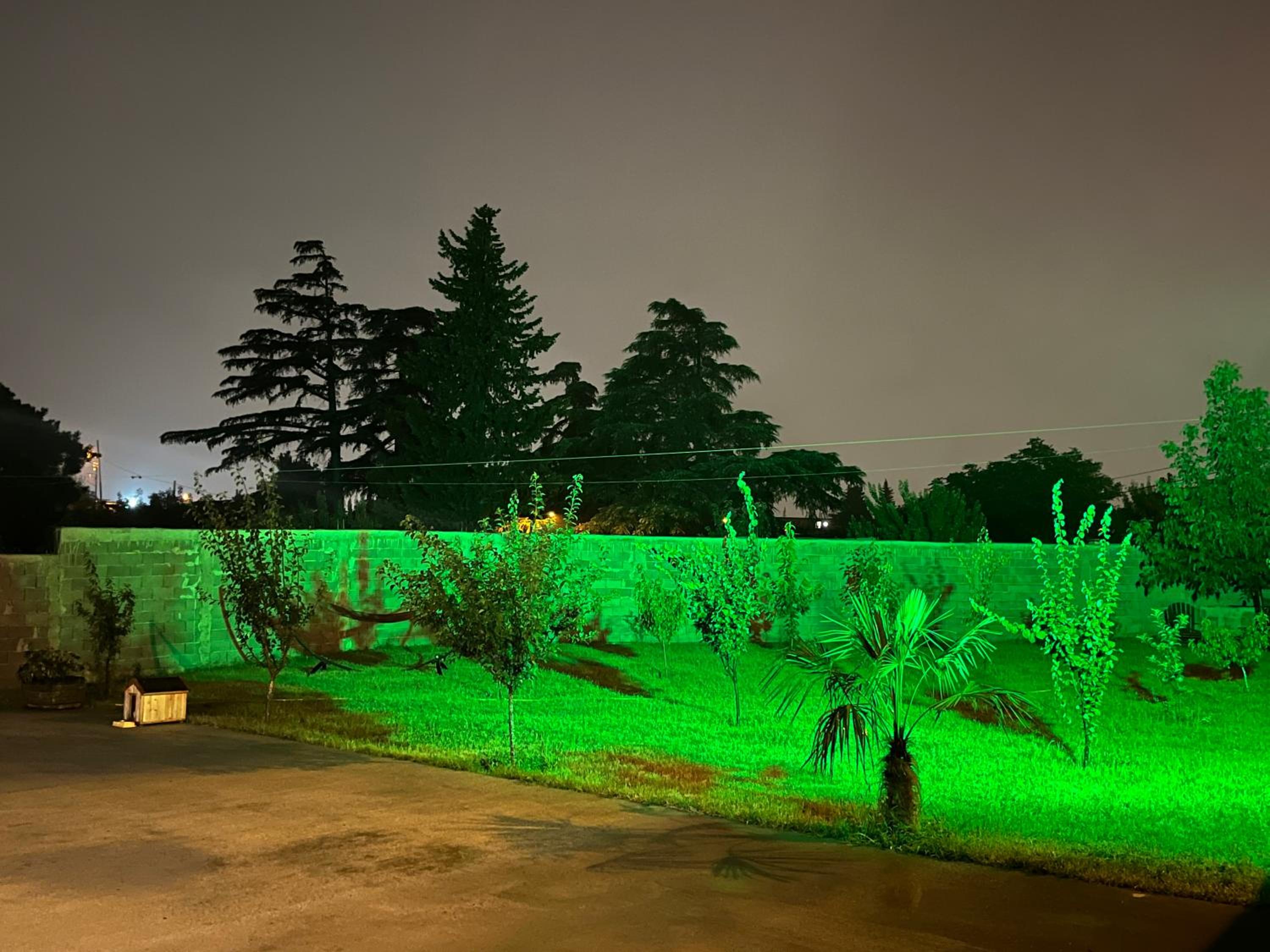 Eco house villa jeo