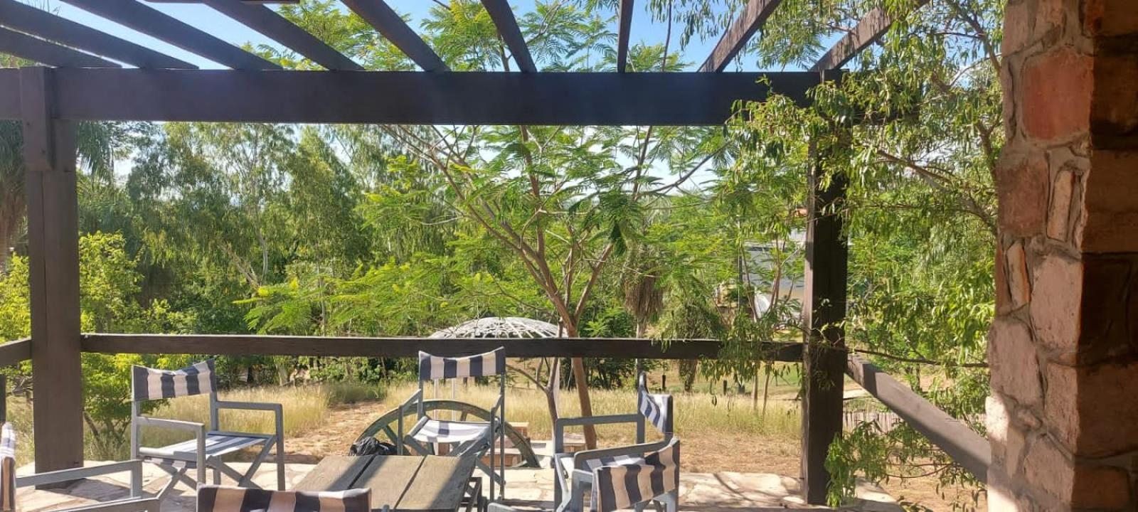 El buho view 2