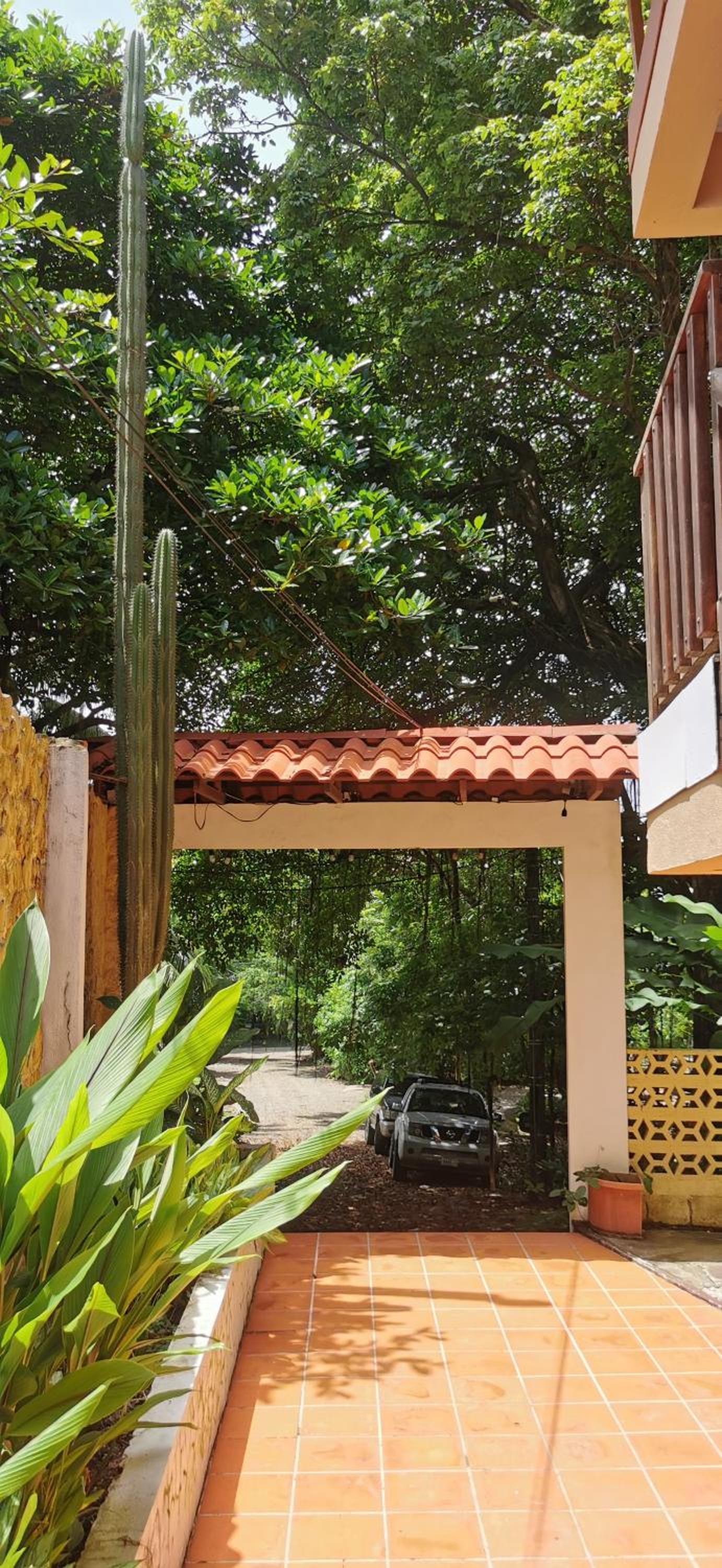 Tajalin Hostel - Montezuma Beach, Central location!