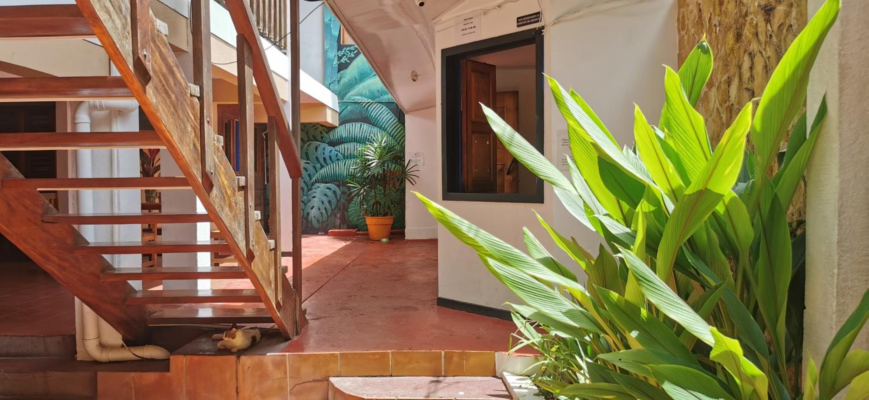 Tajalin Hostel - Montezuma Beach, Central location!