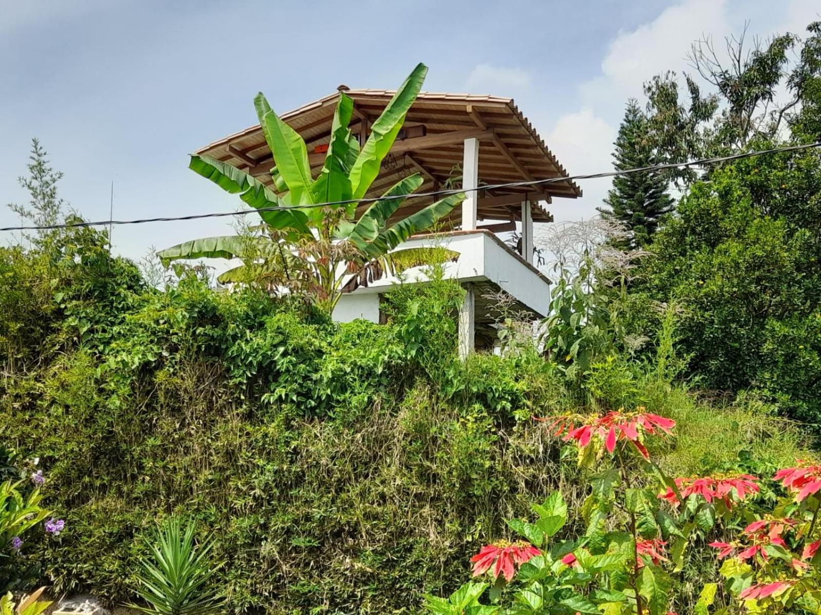 Casa Finca Minas