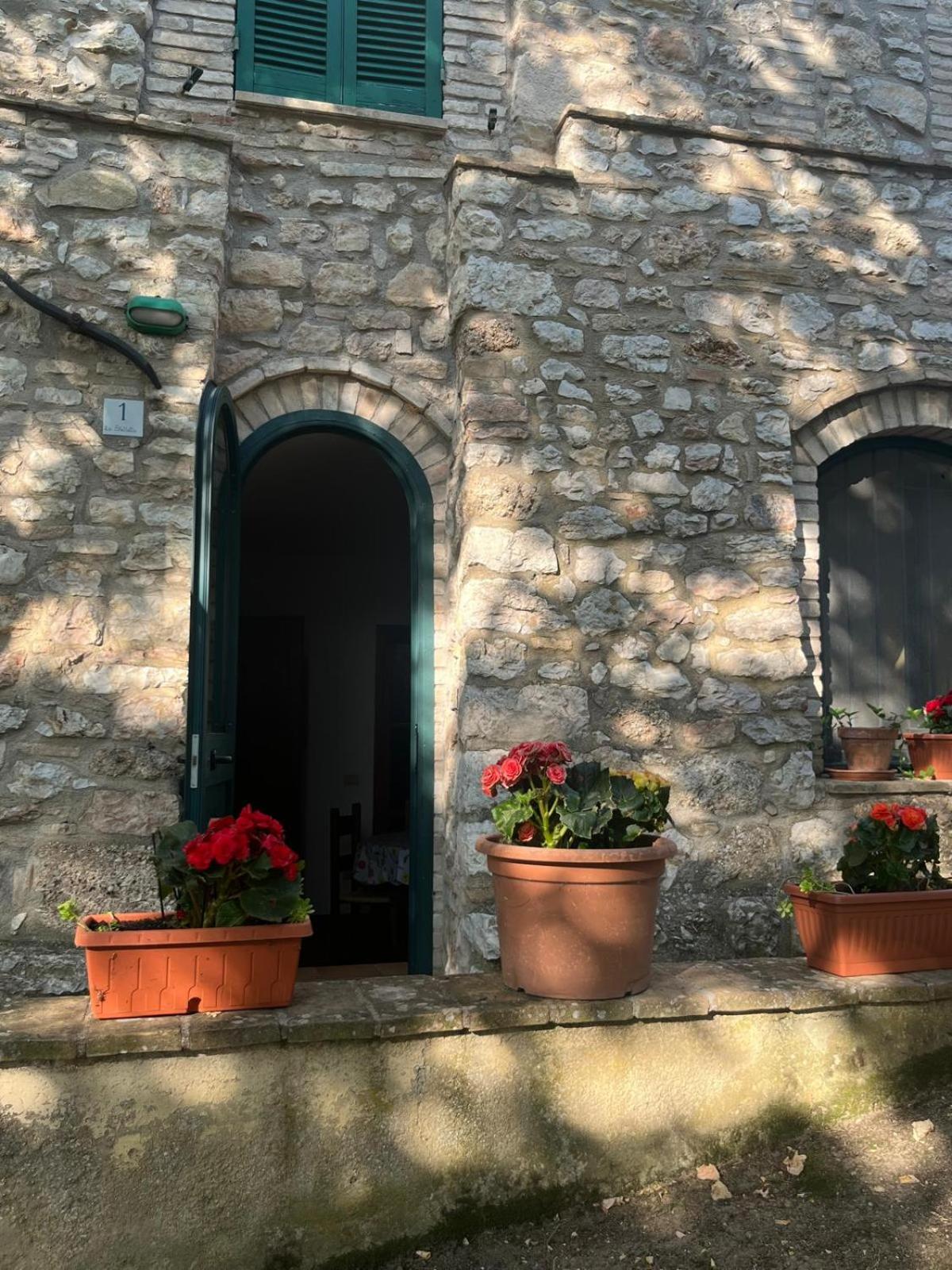 Photo 22
