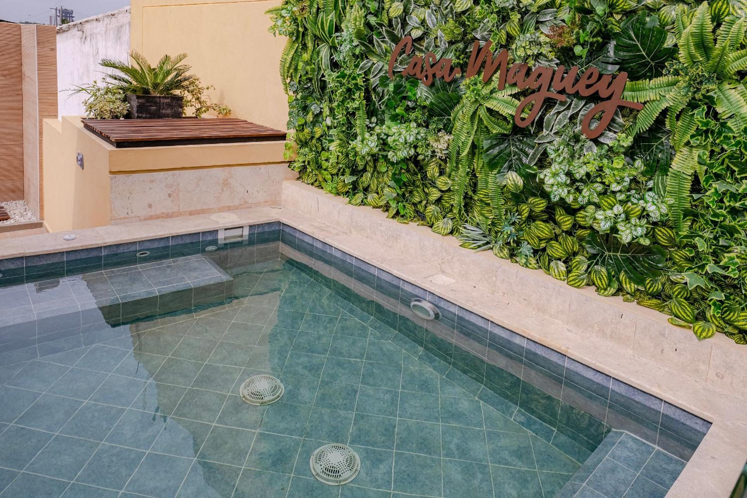 Oasis Colombomexicano en el Corazón de Cartagena