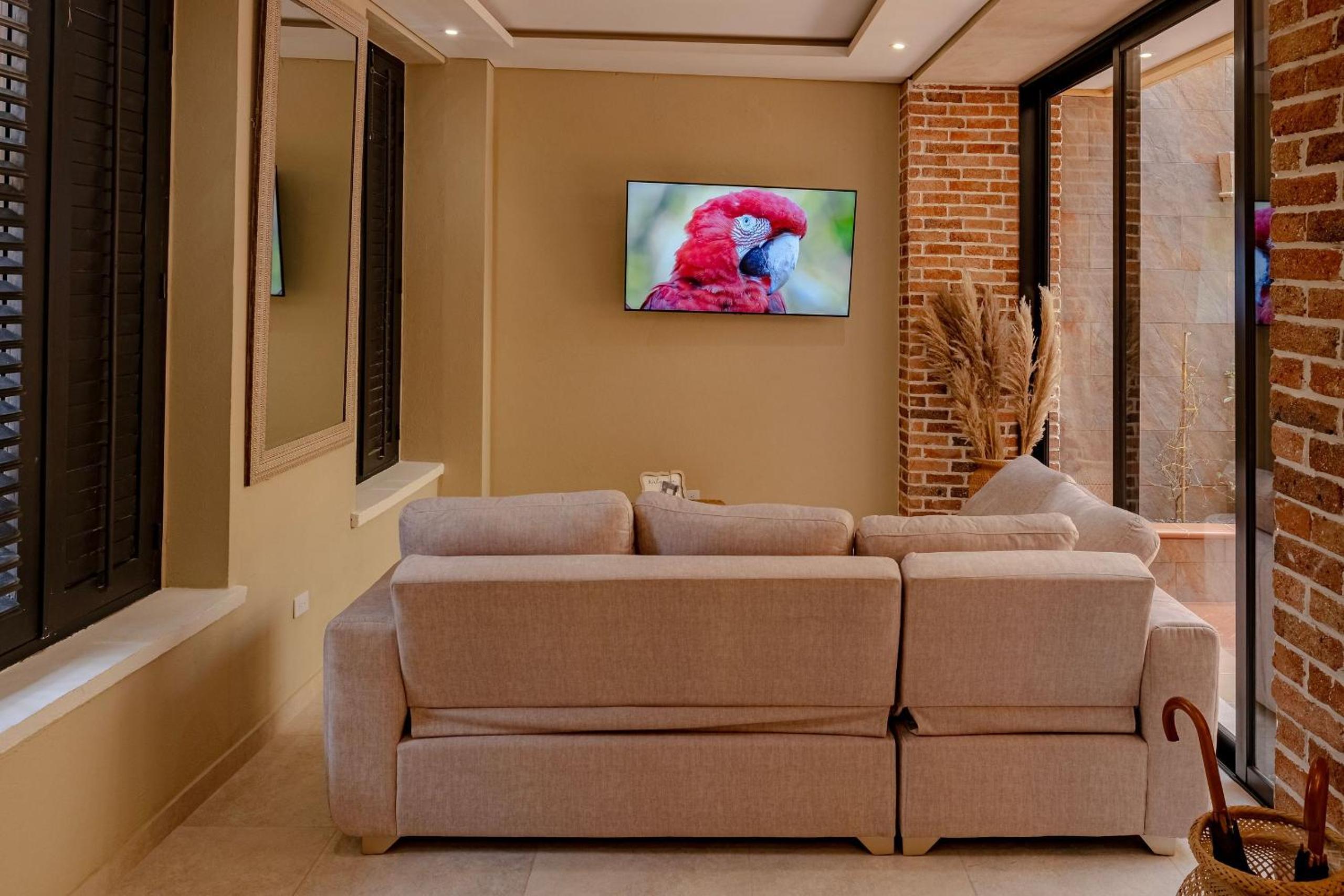Oasis Colombomexicano en el Corazón de Cartagena