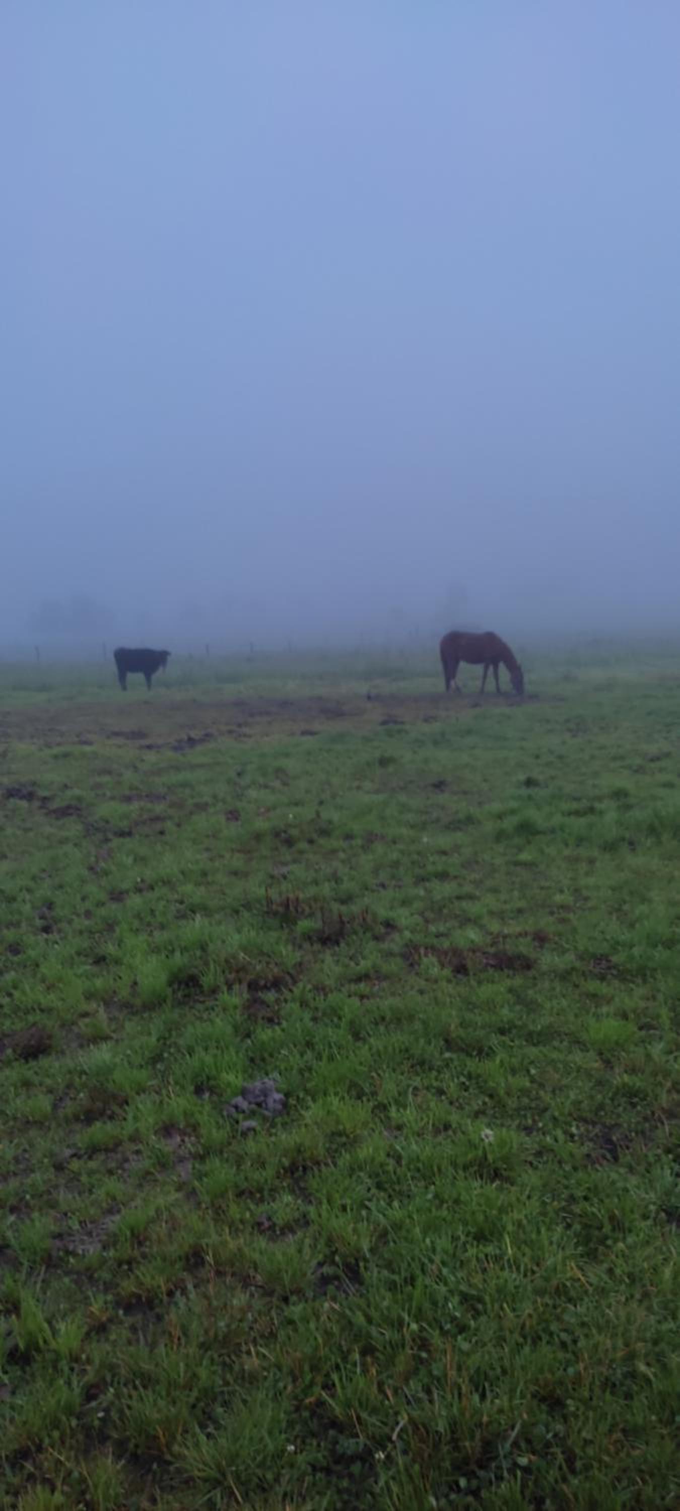 Estancia Milla Verde de San Francisco
