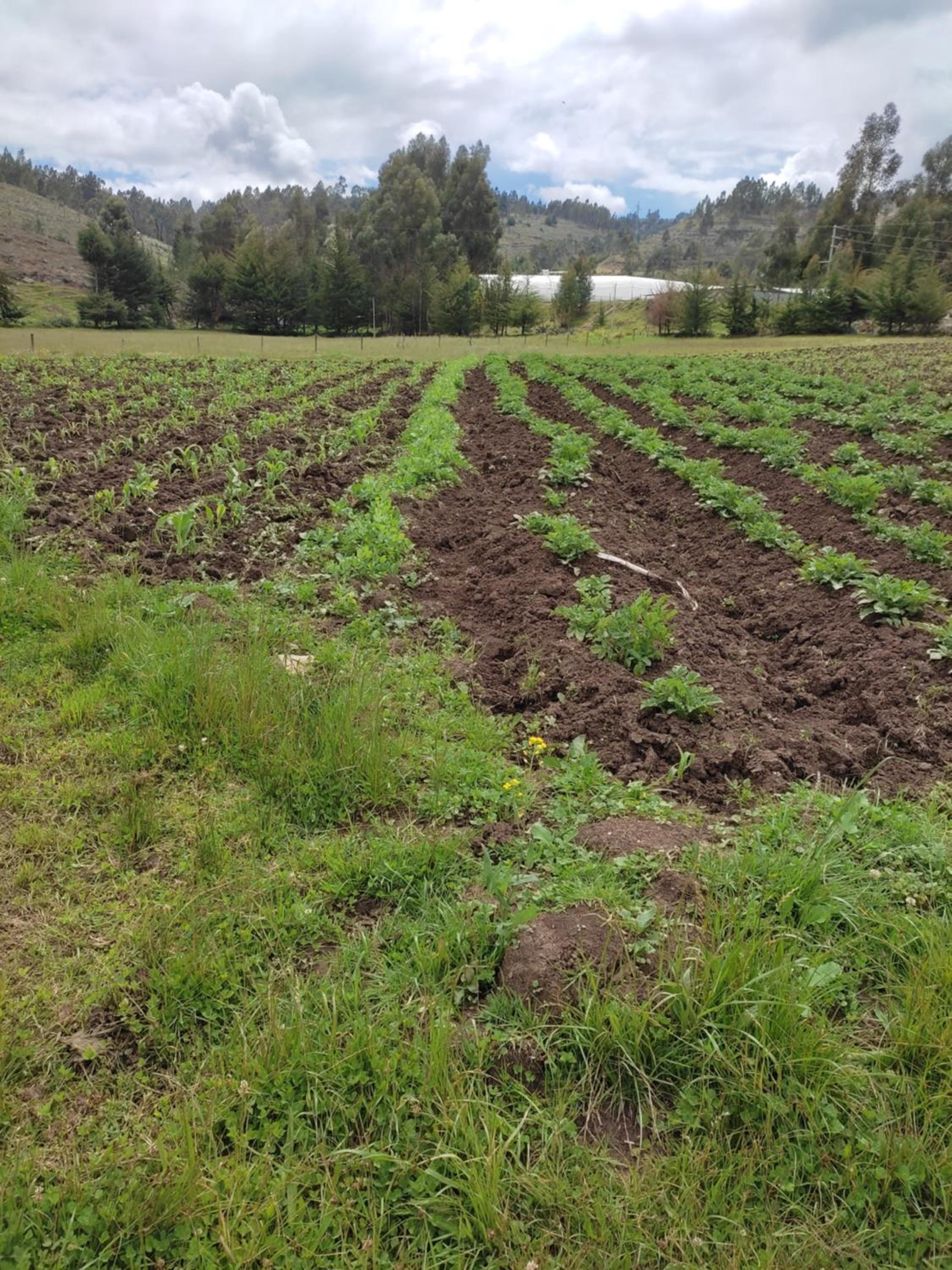 Estancia Milla Verde de San Francisco