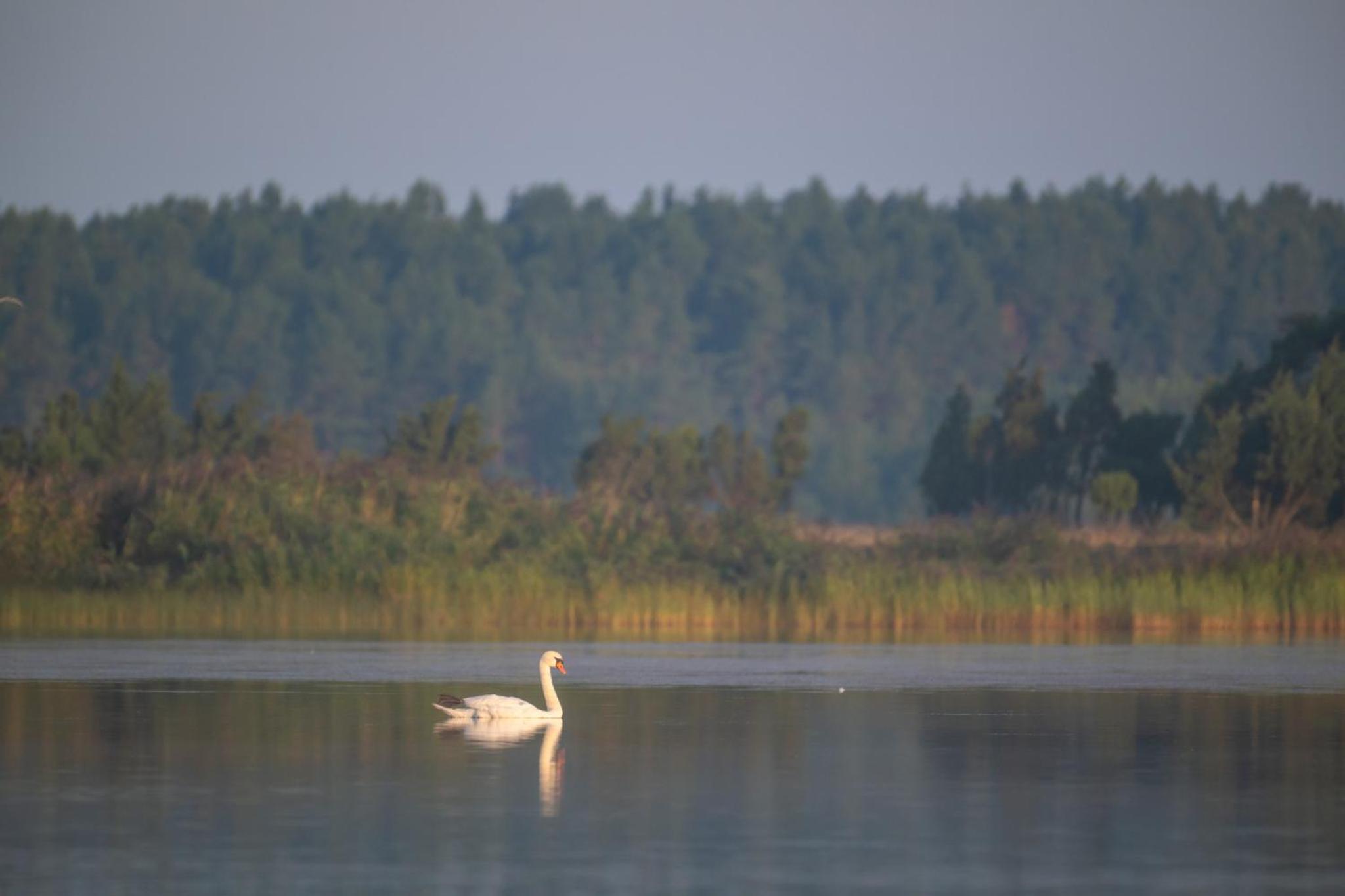 Privaatne glamping, saun ja köögiga maja mere kaldal
