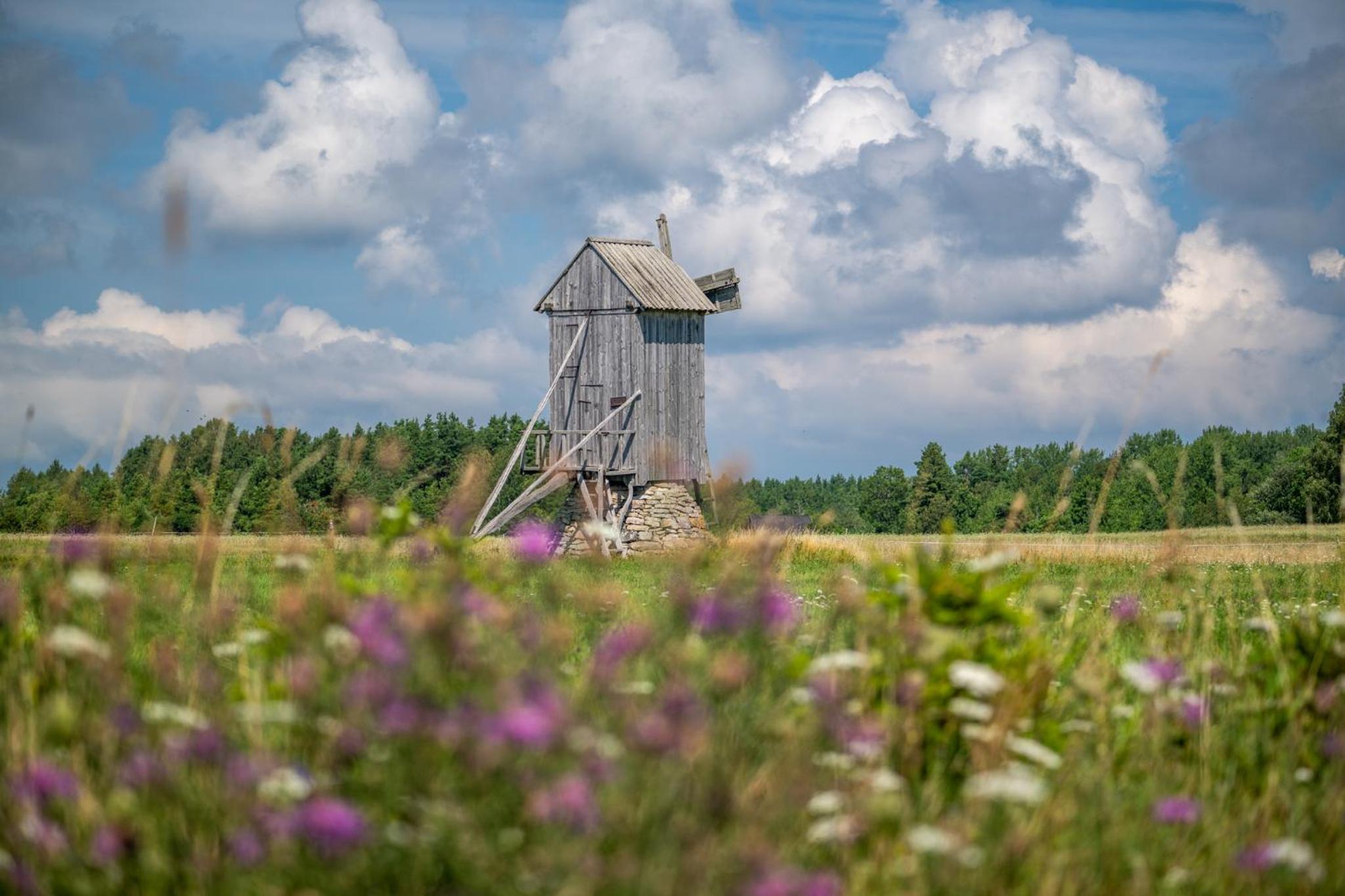 Privaatne glamping, saun ja köögiga maja mere kaldal
