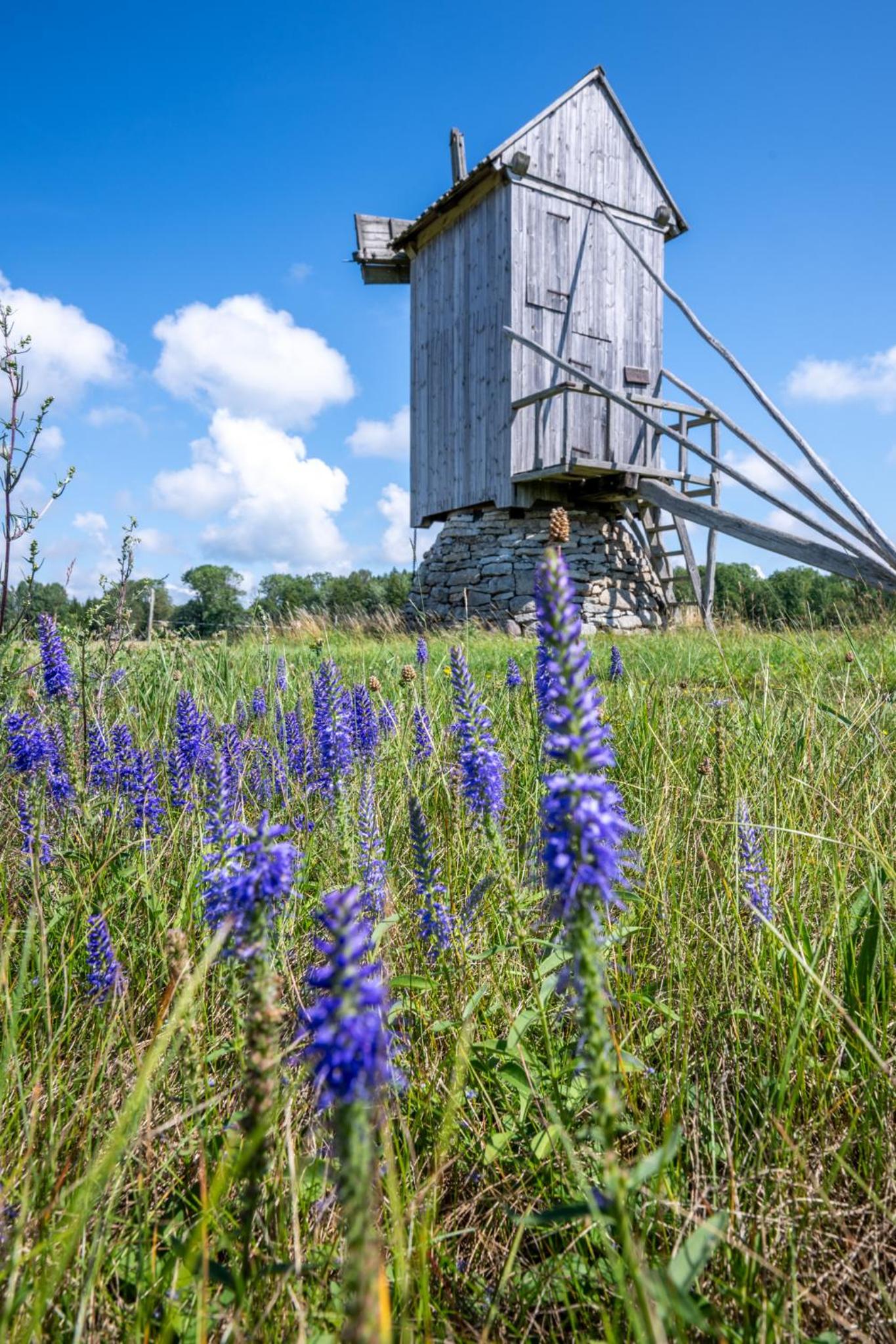 Privaatne glamping, saun ja köögiga maja mere kaldal