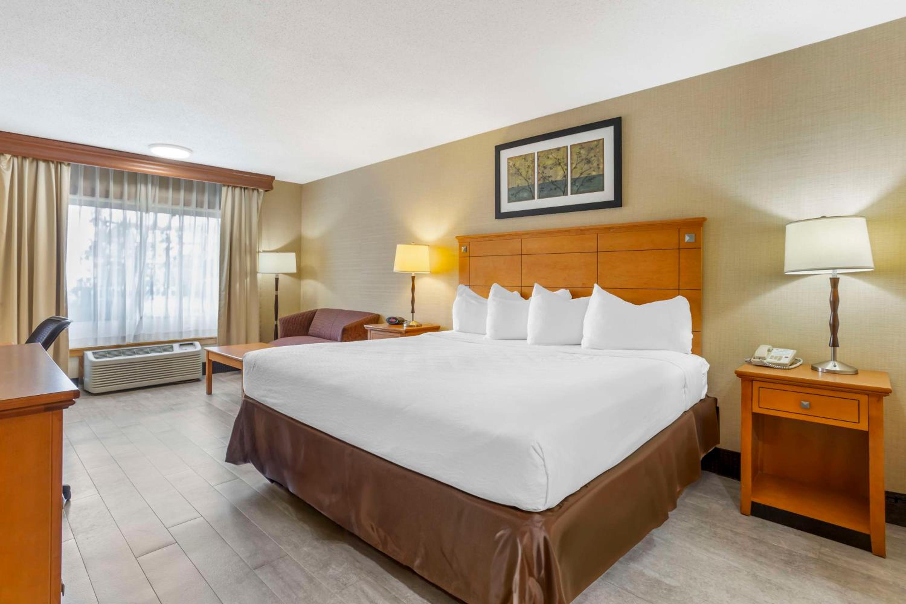 Best Western Danbury/Bethel - Property Image 11