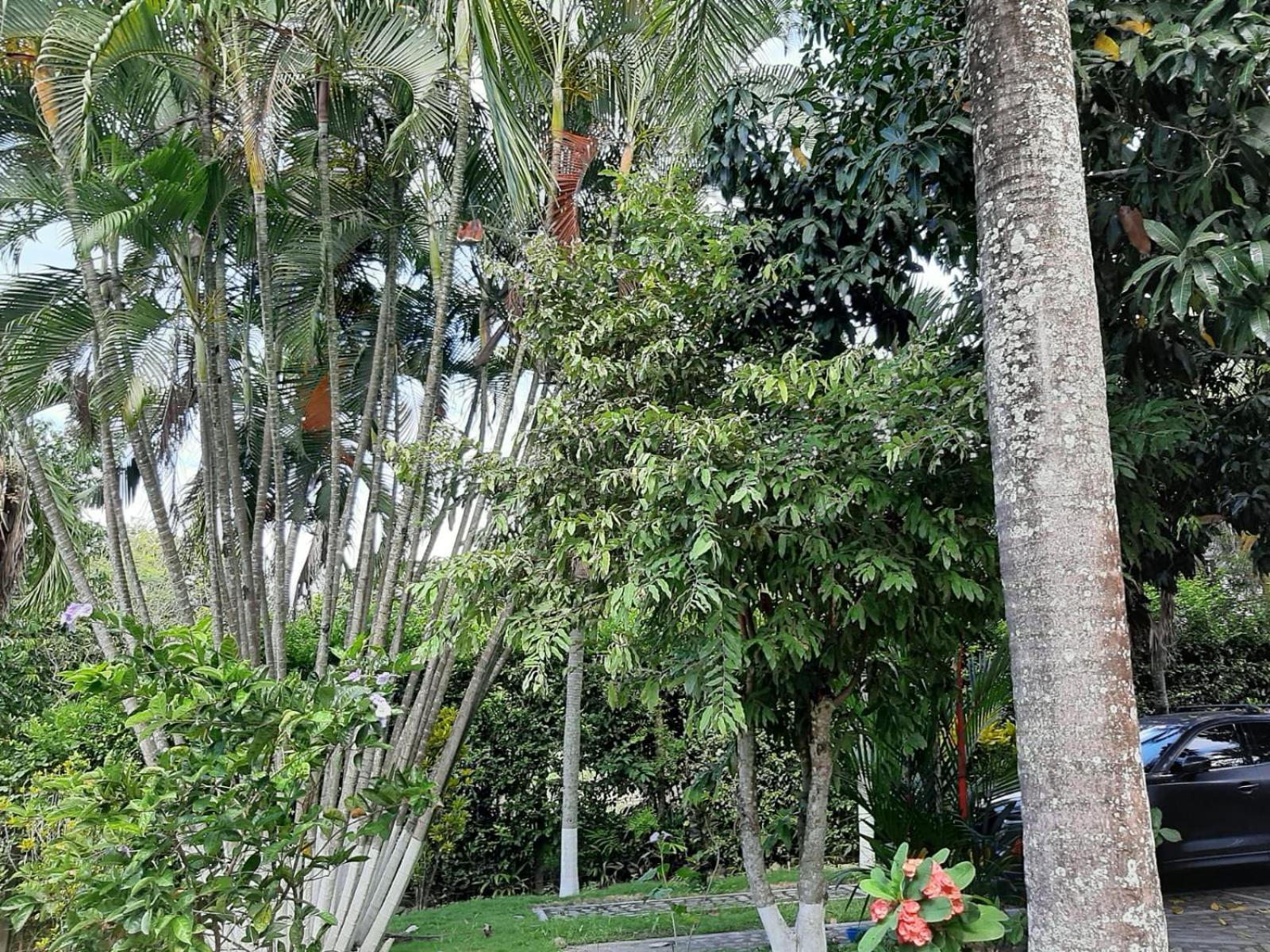 Espectacular Casa campestre en condo, Guamo Tol