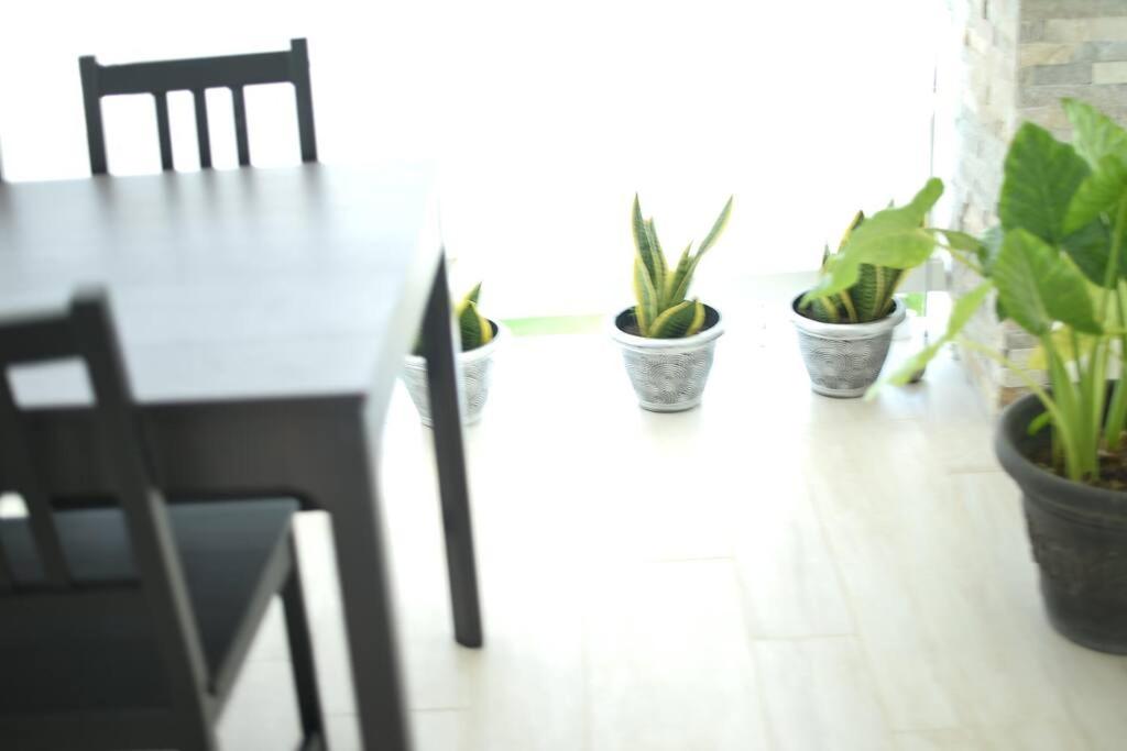 PM New Dream Condo ,by the beach by the shops view 5