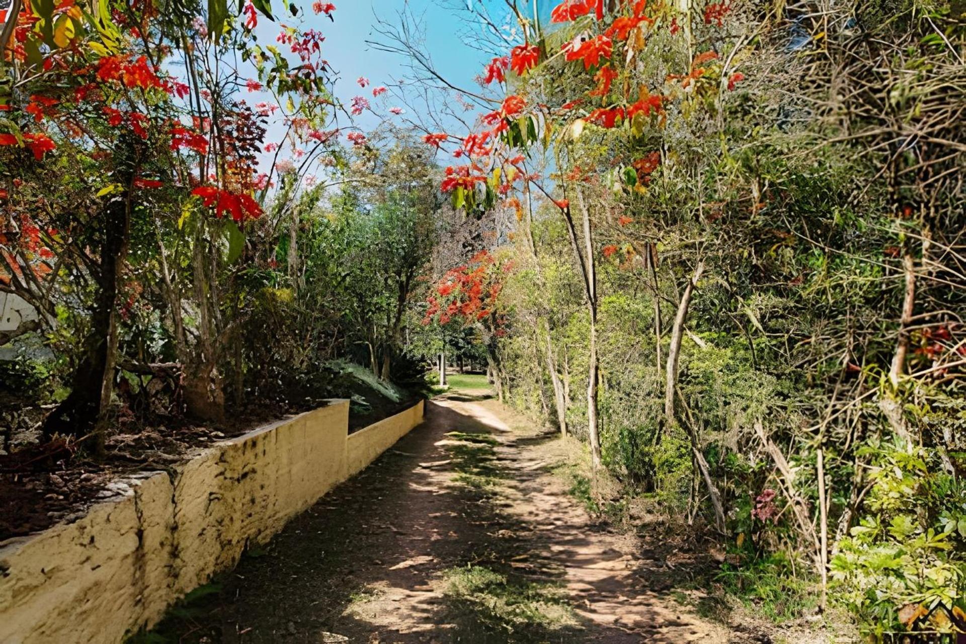 Nosso Apê Bom Jardim: Chalés Camará - Chalé 1