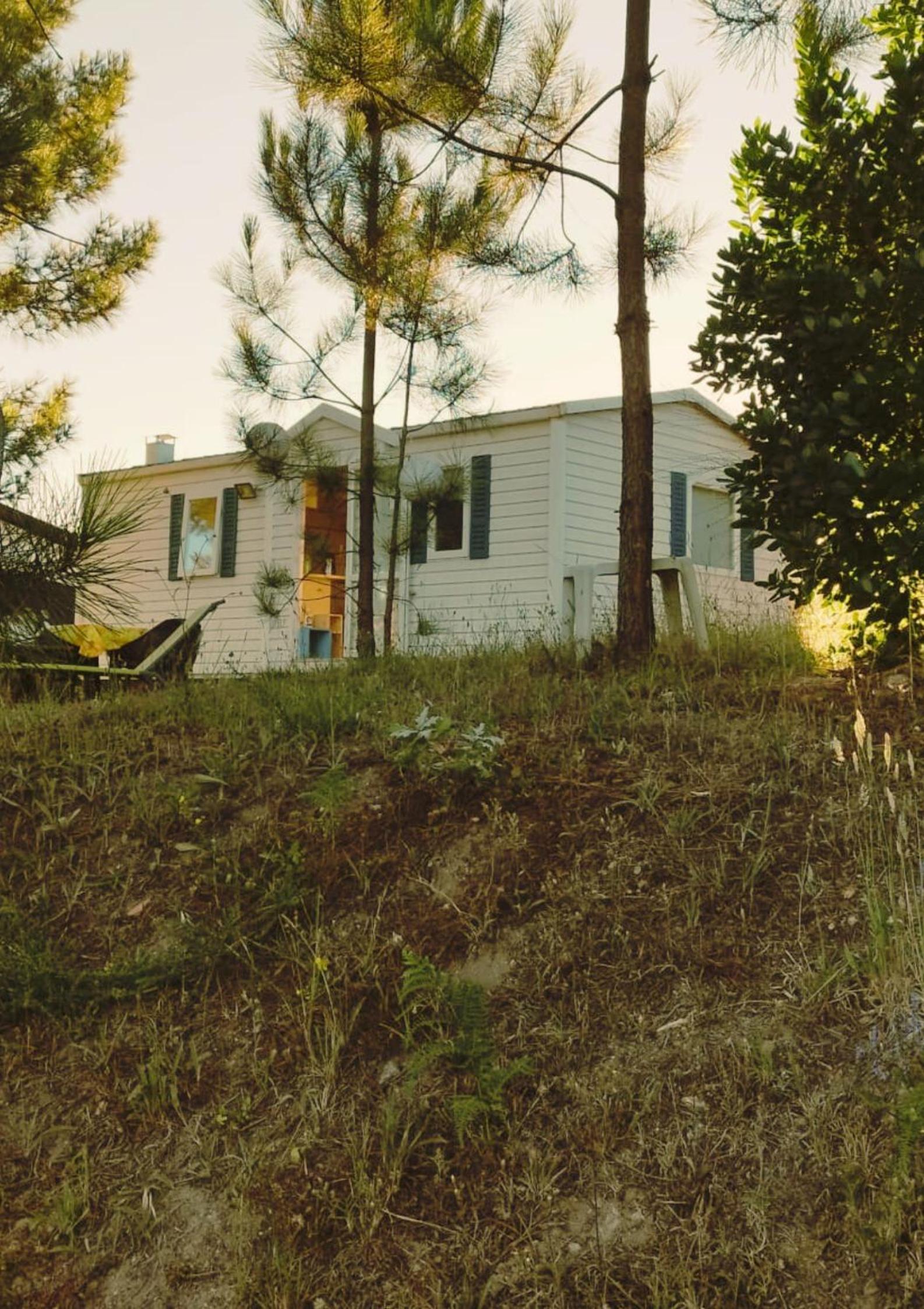 Photo 40
