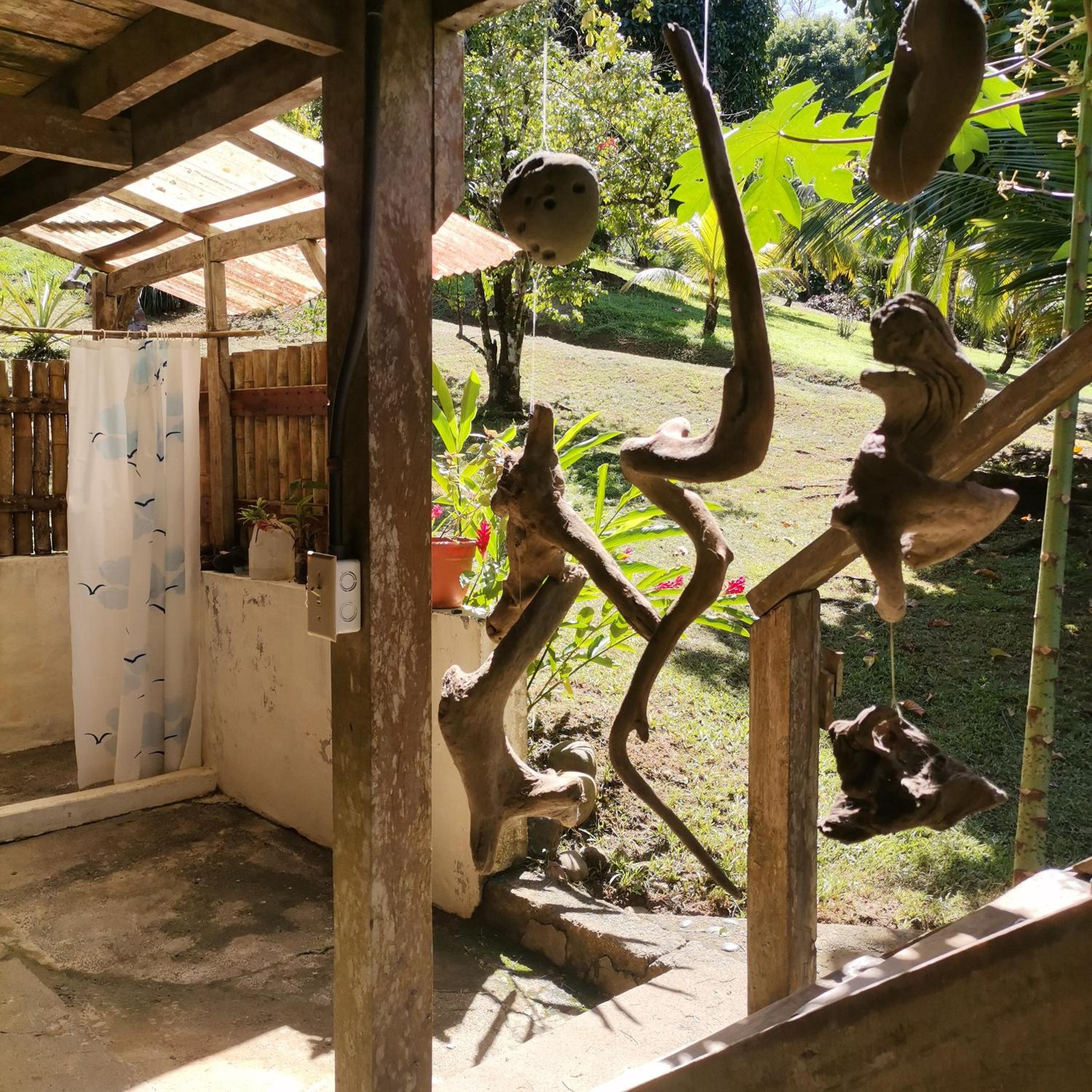 Pavones Rustic Jungle Cabin