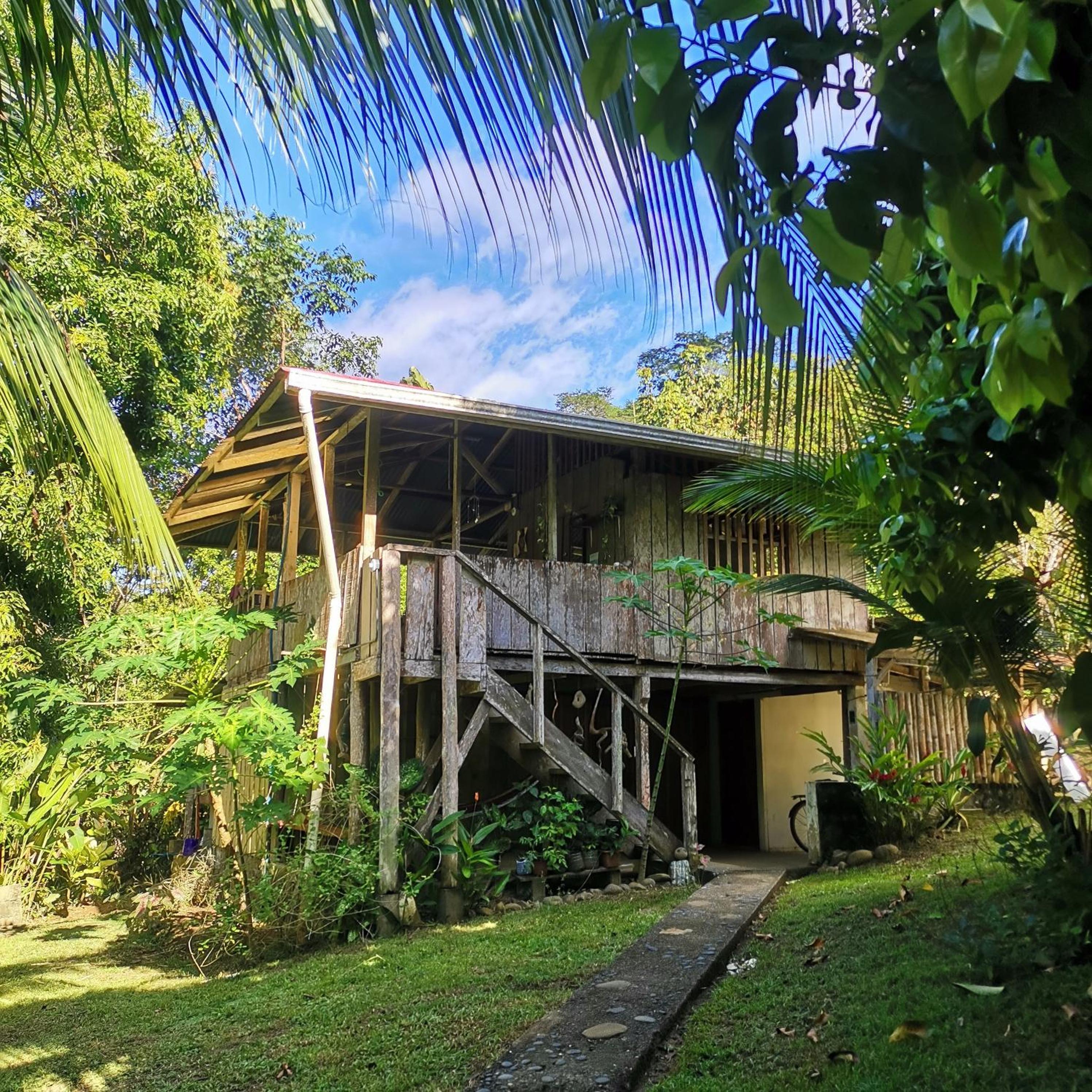 Pavones Rustic Jungle Cabin