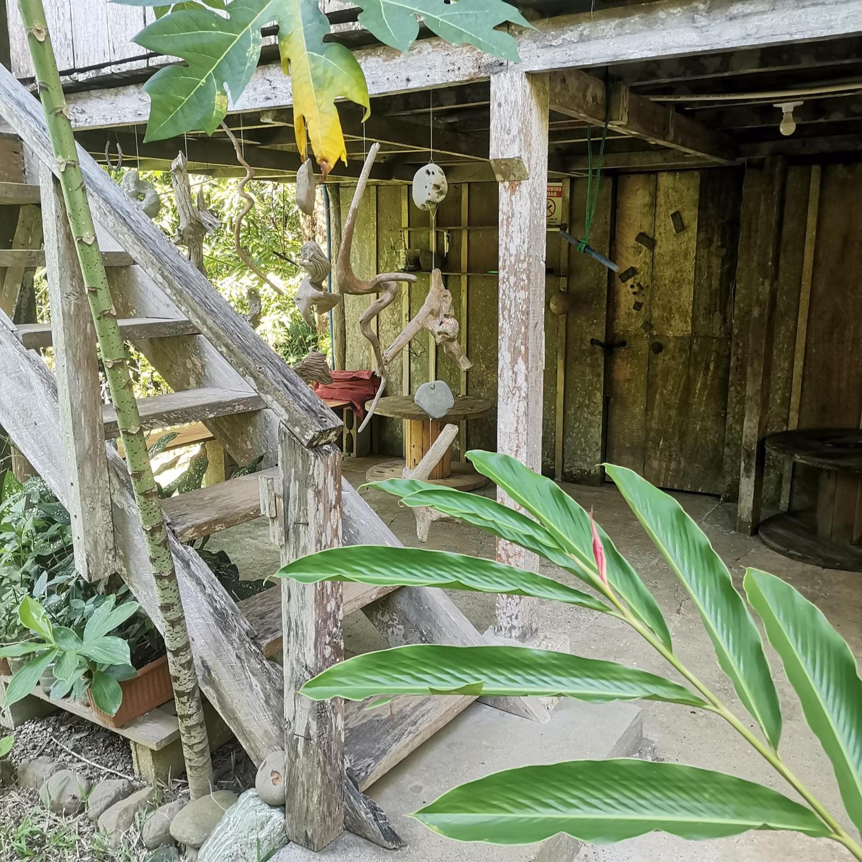 Pavones Rustic Jungle Cabin