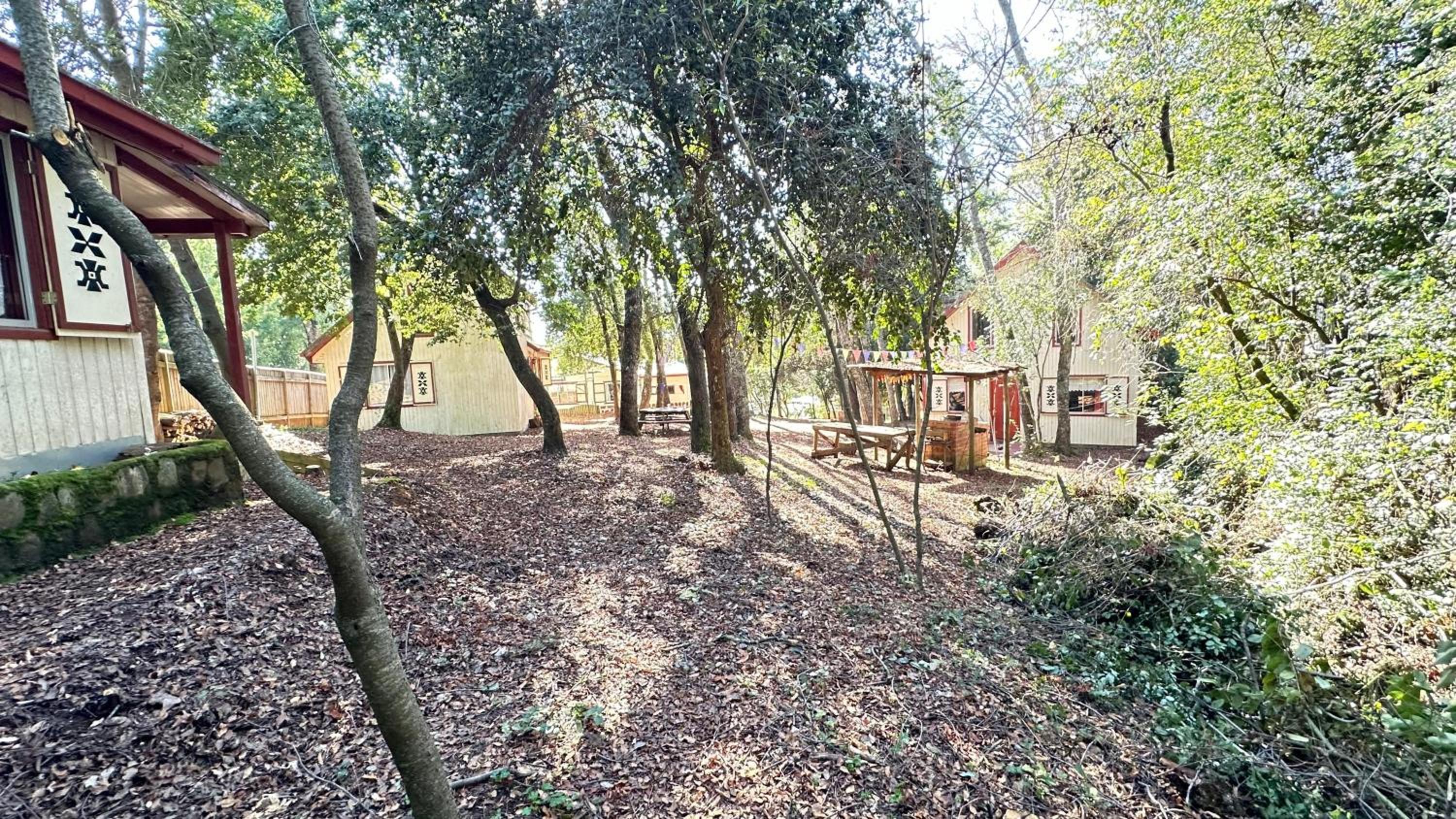 Cabañas La Leona