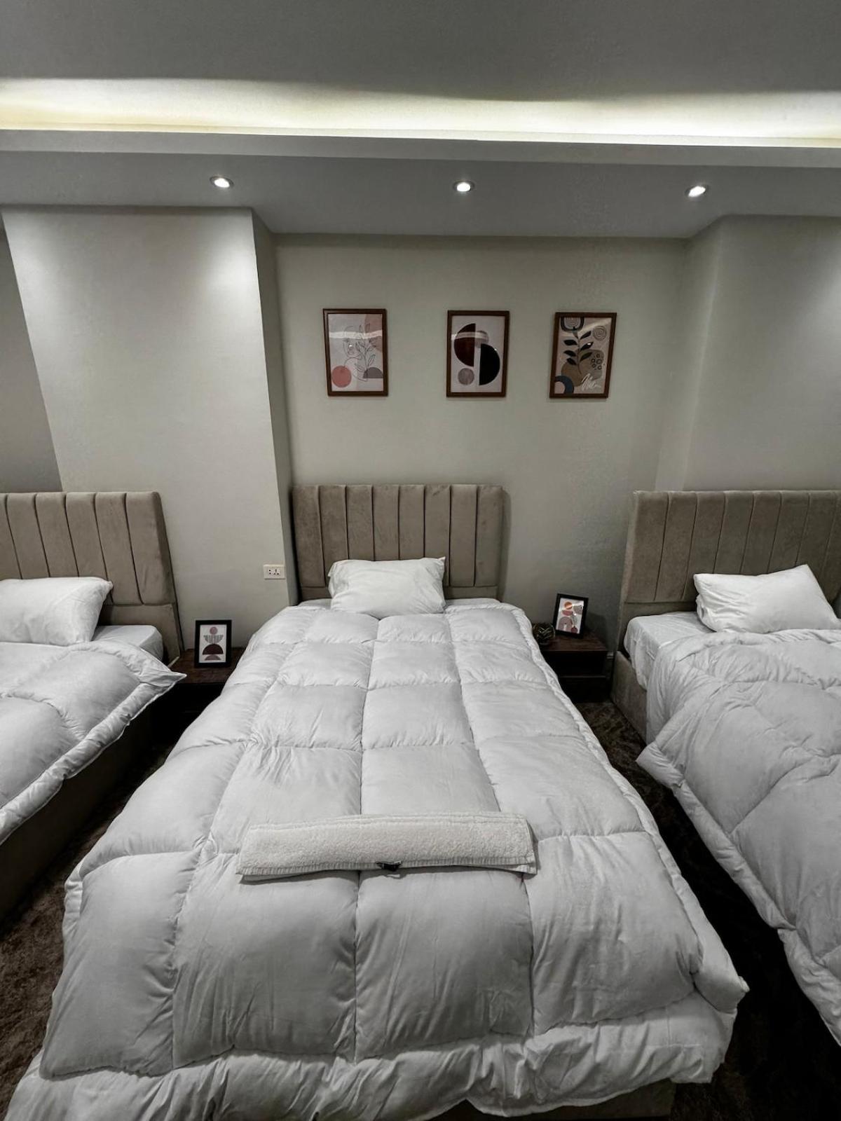 Queen of Zamalek 3BR apt