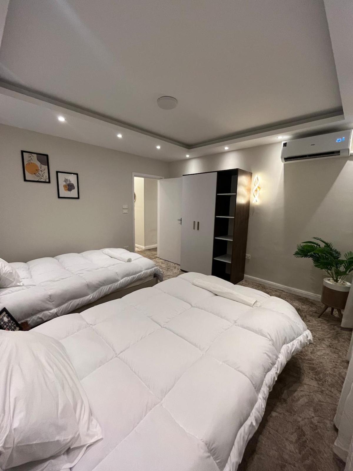 Queen of Zamalek 3BR apt