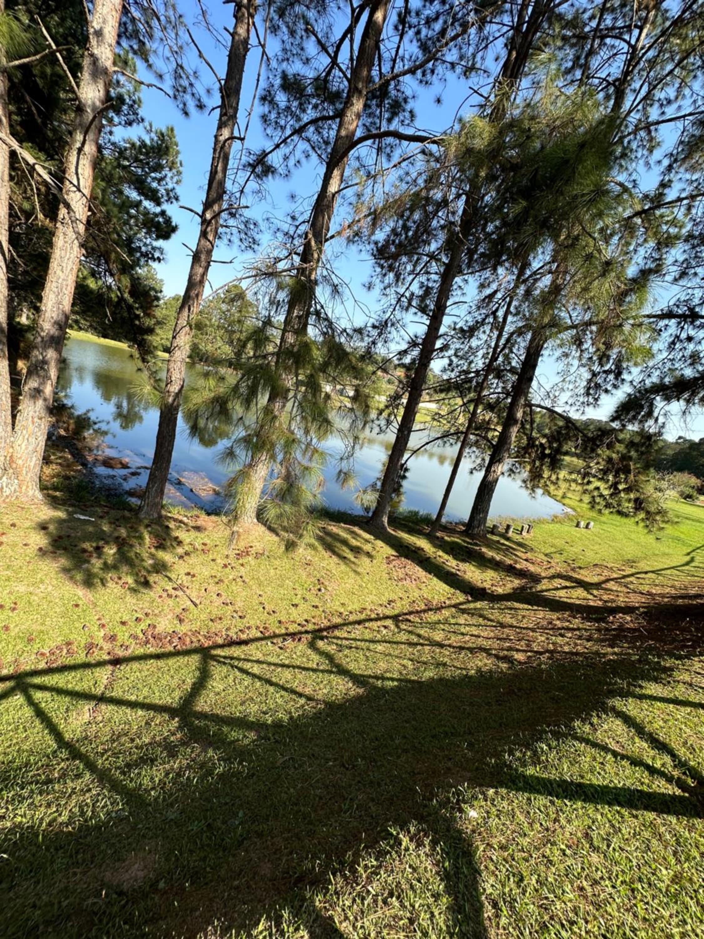 Morada dos beija-flores