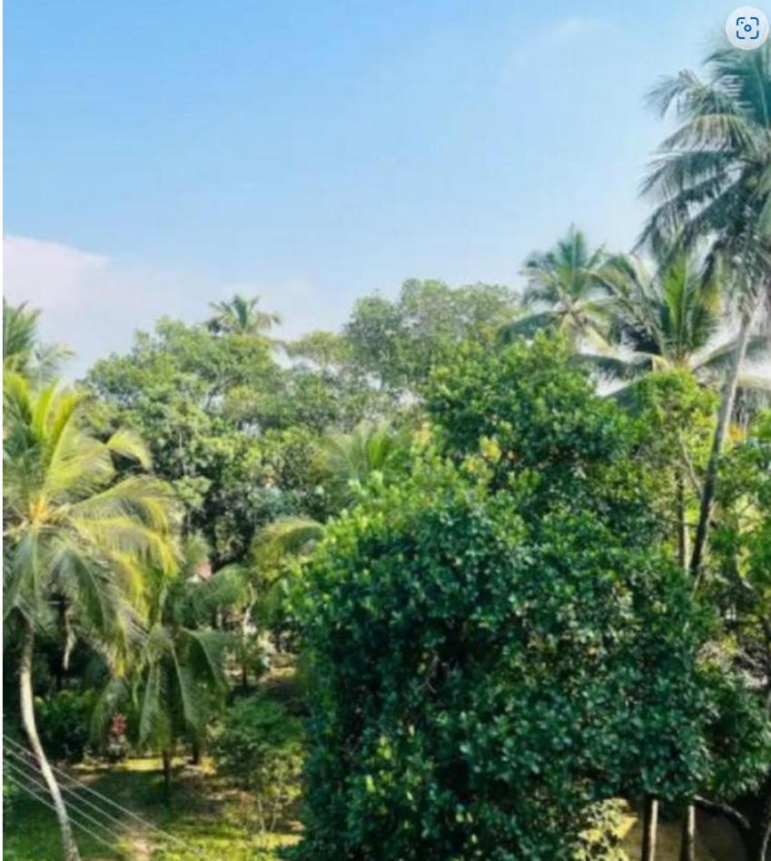 Convenient Villa