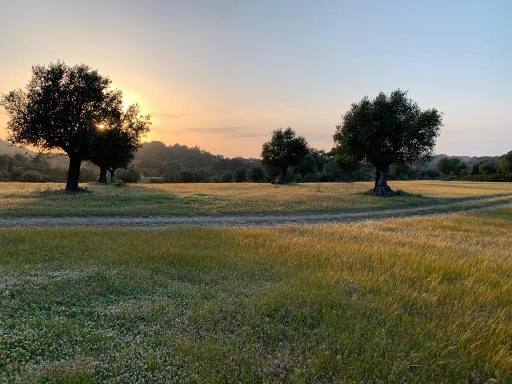 AGROTOPIA Guesthouses