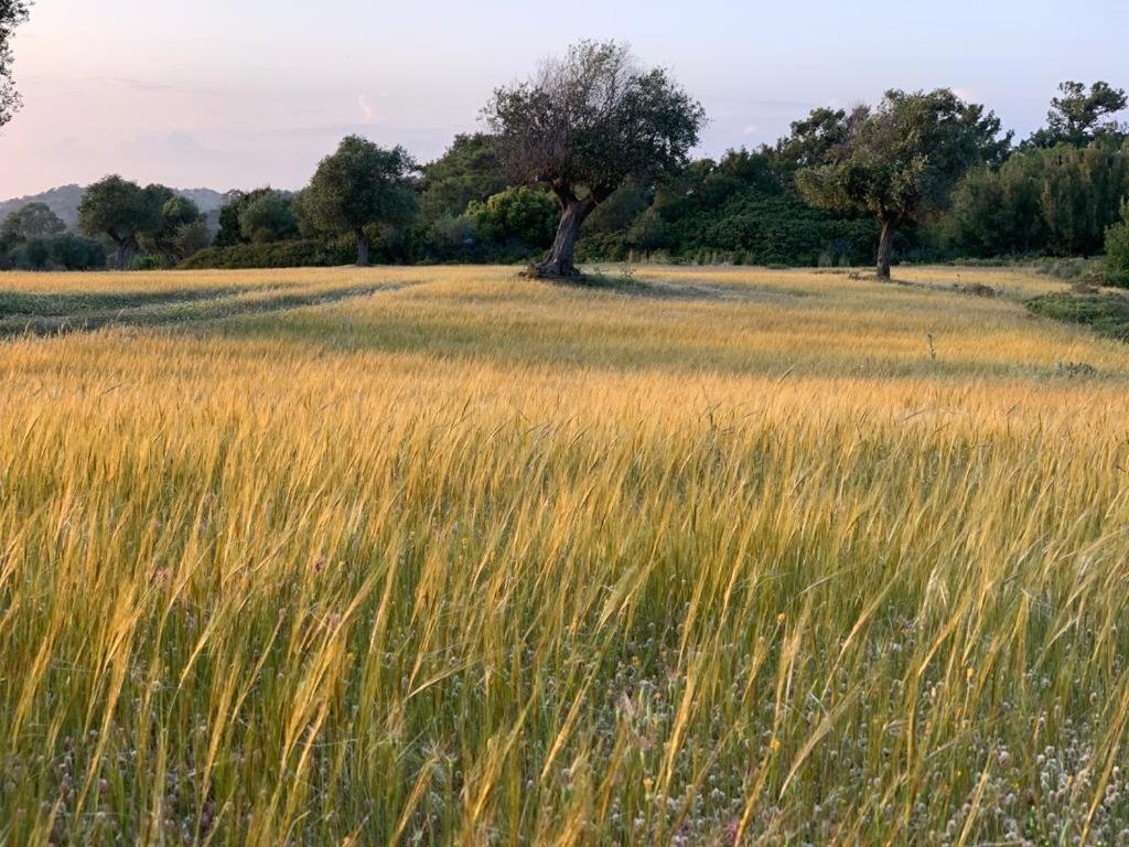 AGROTOPIA Guesthouses