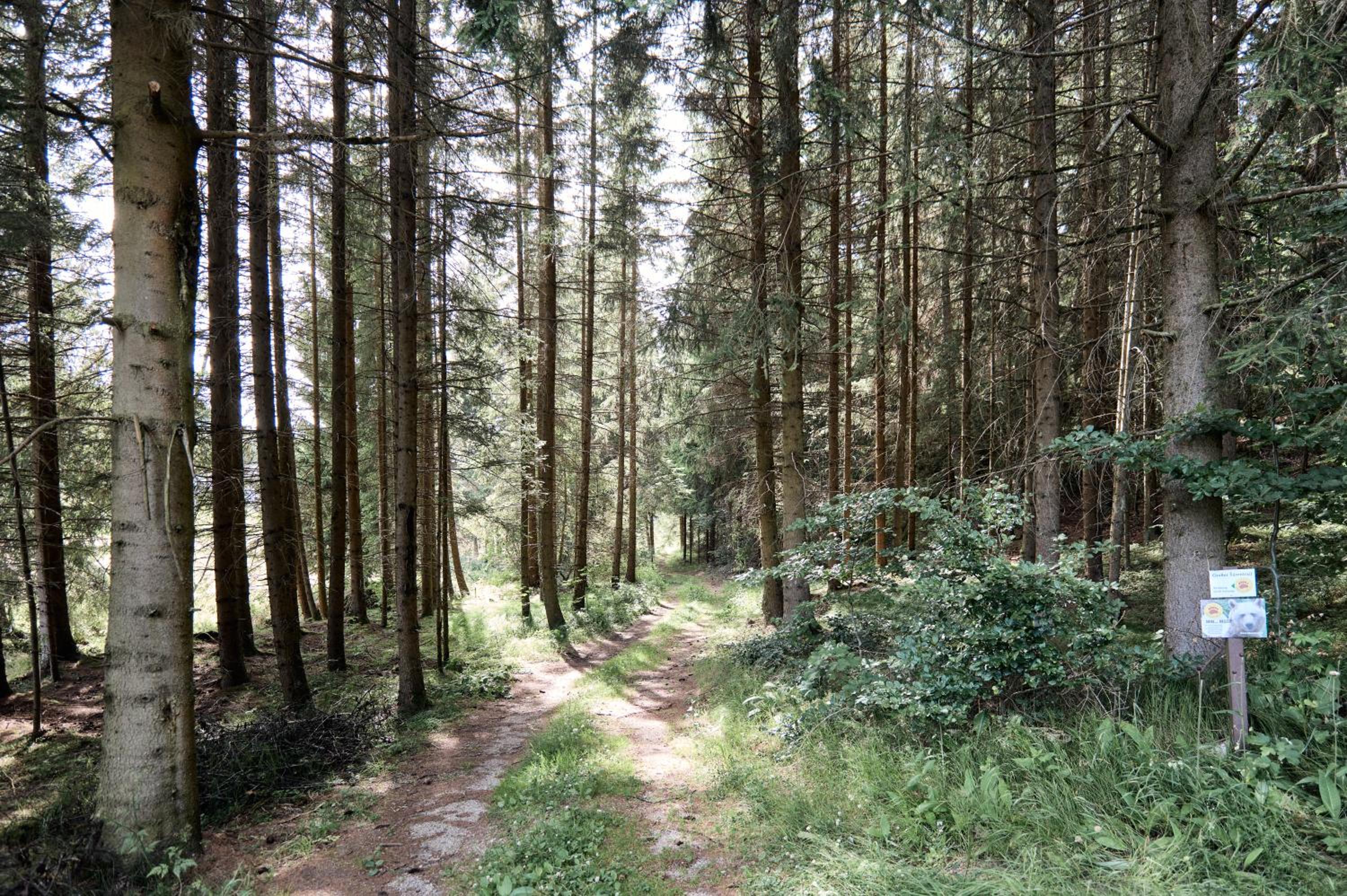 Auszeit am Kamp - Ferienhaus Rametsteiner