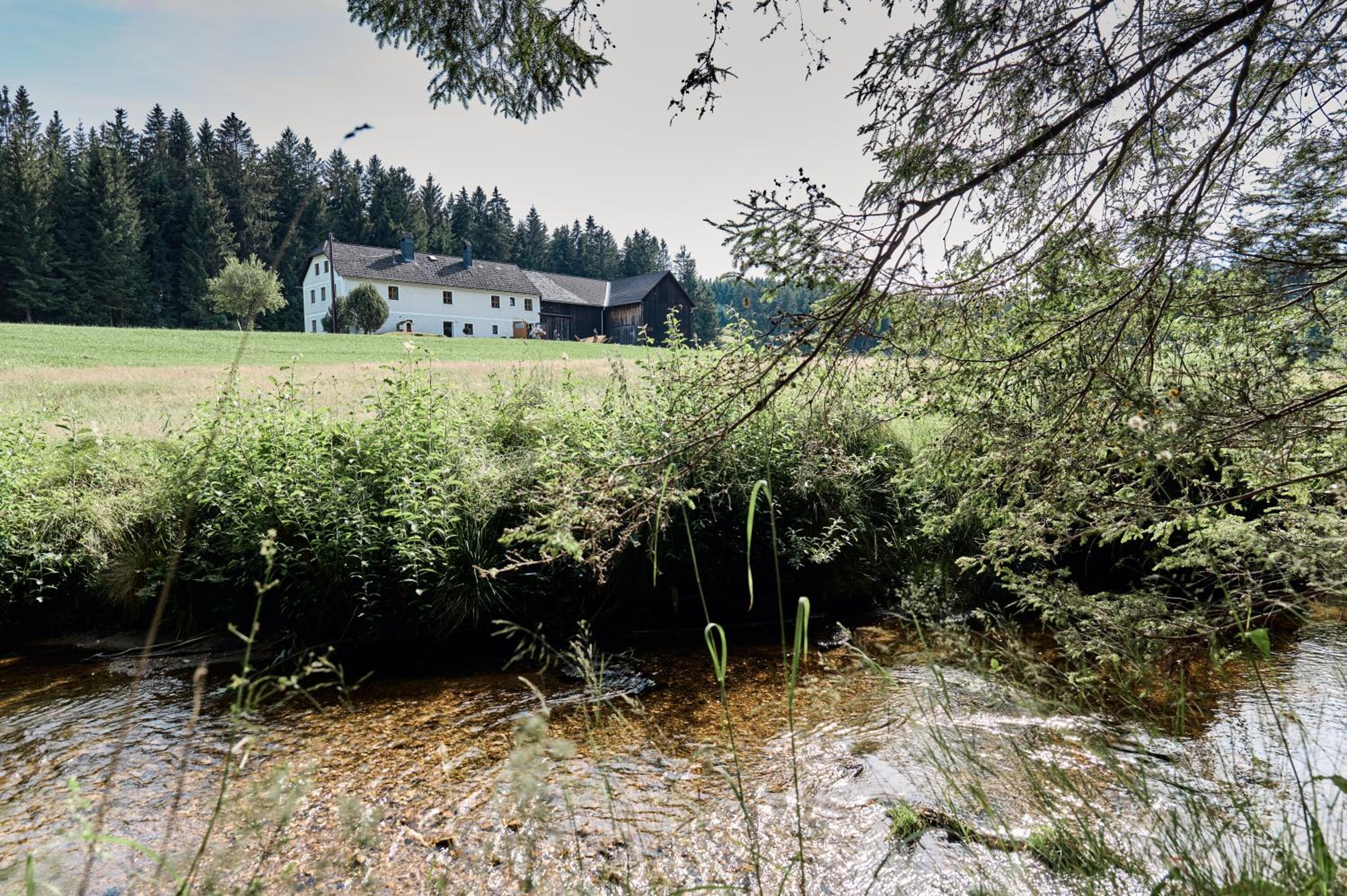 Auszeit am Kamp - Ferienhaus Rametsteiner