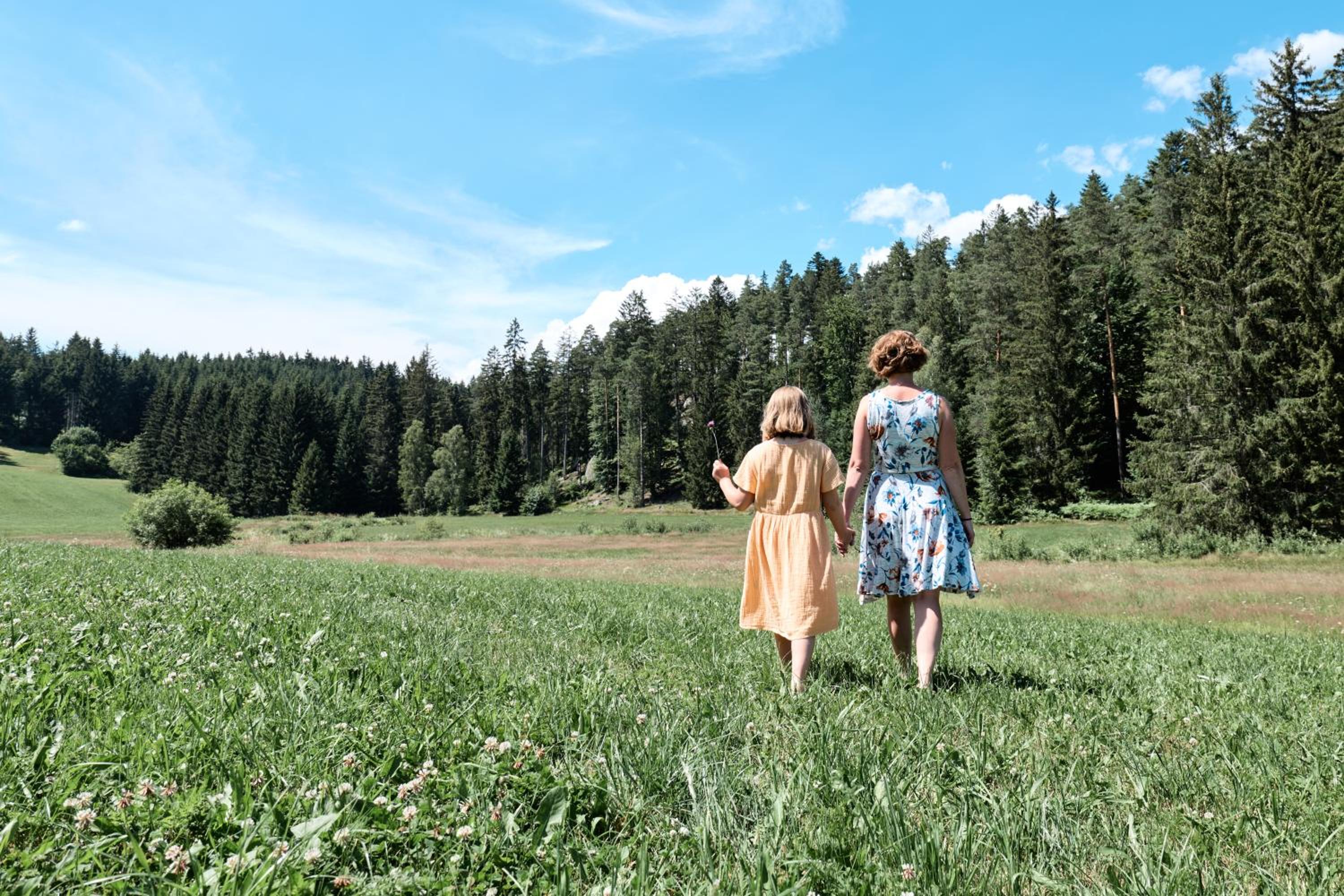 Auszeit am Kamp - Ferienhaus Rametsteiner