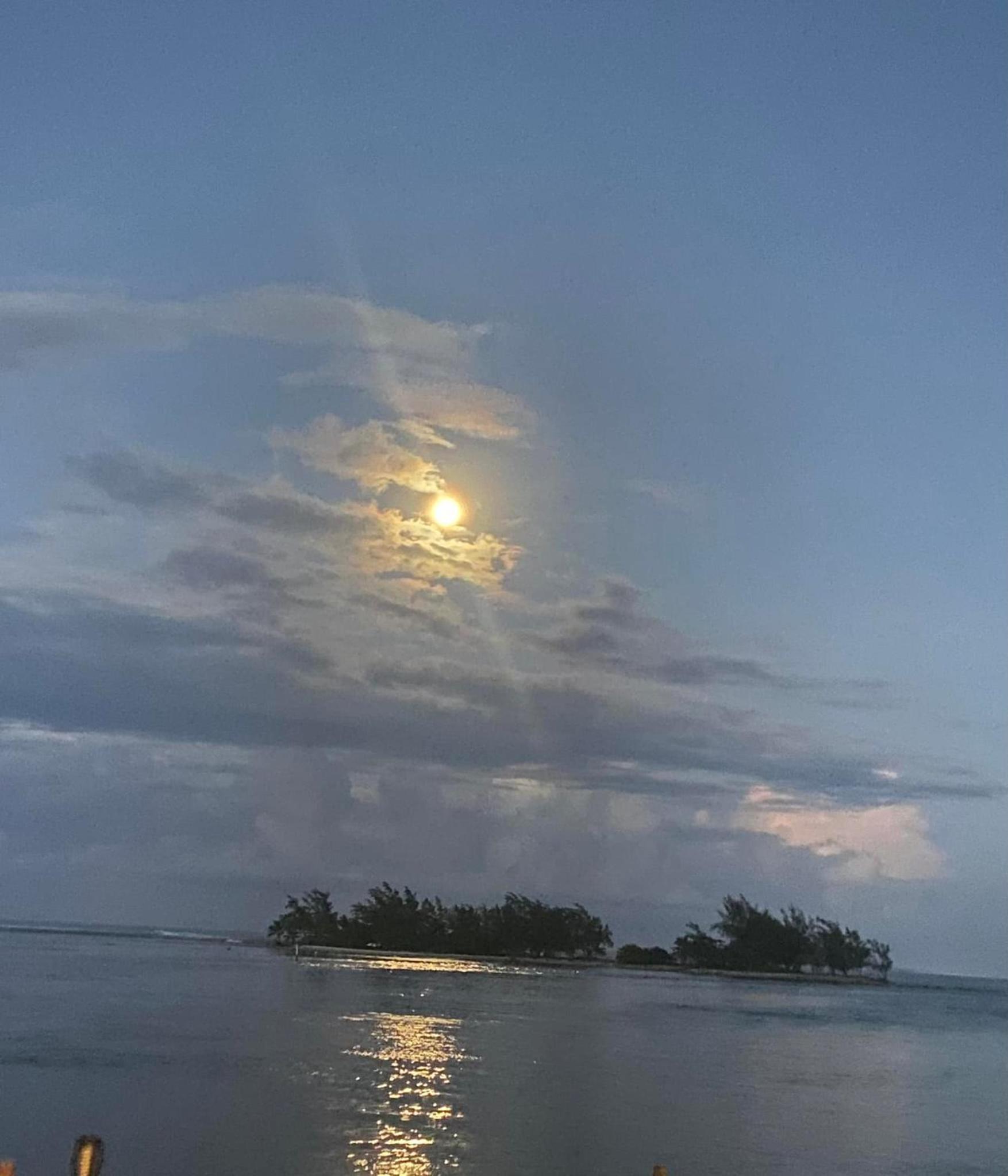 Bord De Mer, Pointe Vénus, Tahiti view 4