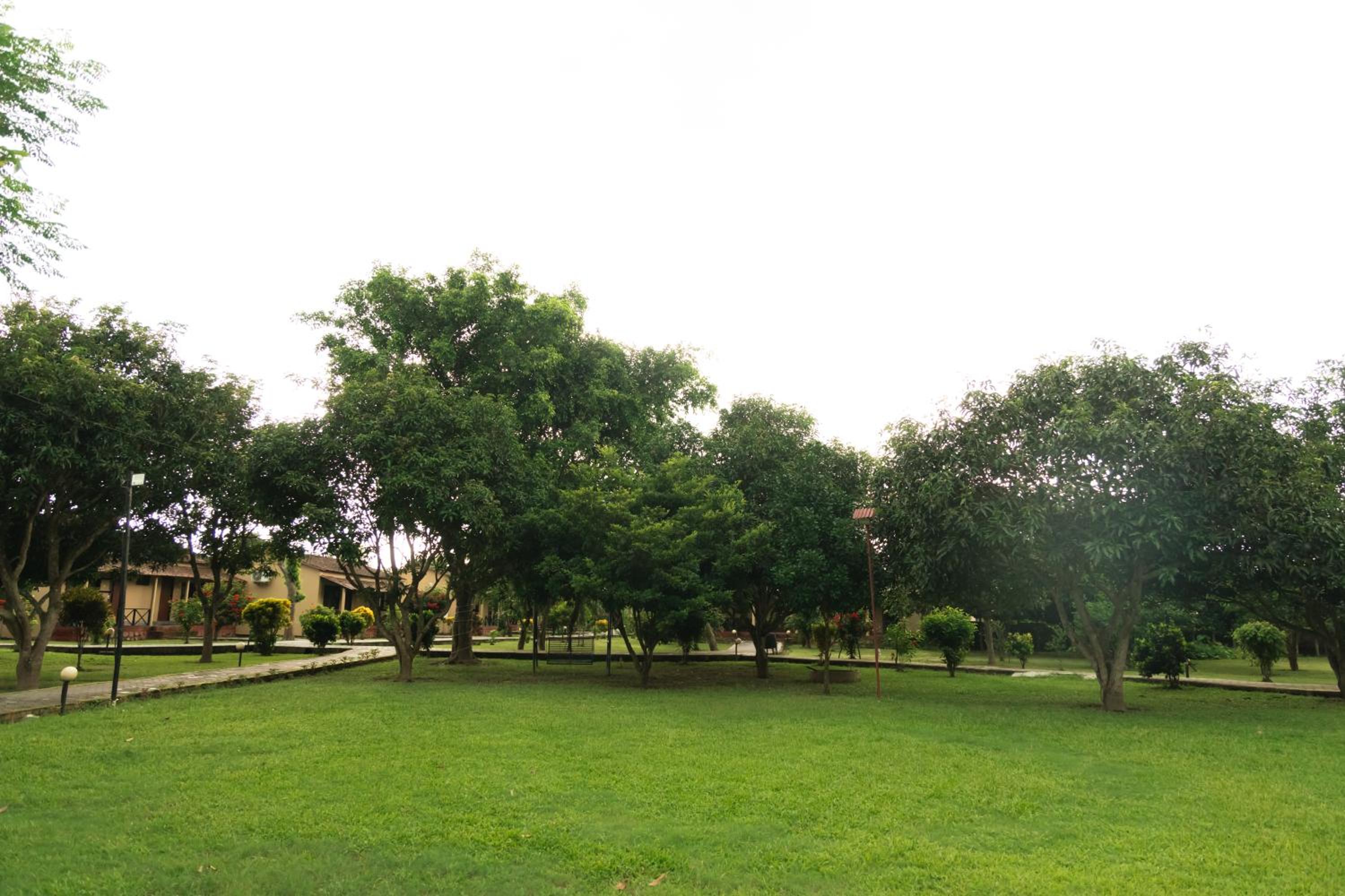 Photo 22