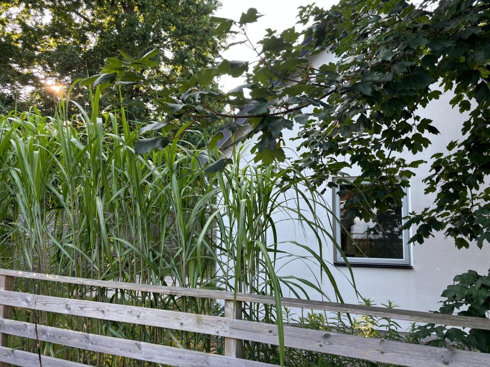 Gästhus Abbekås