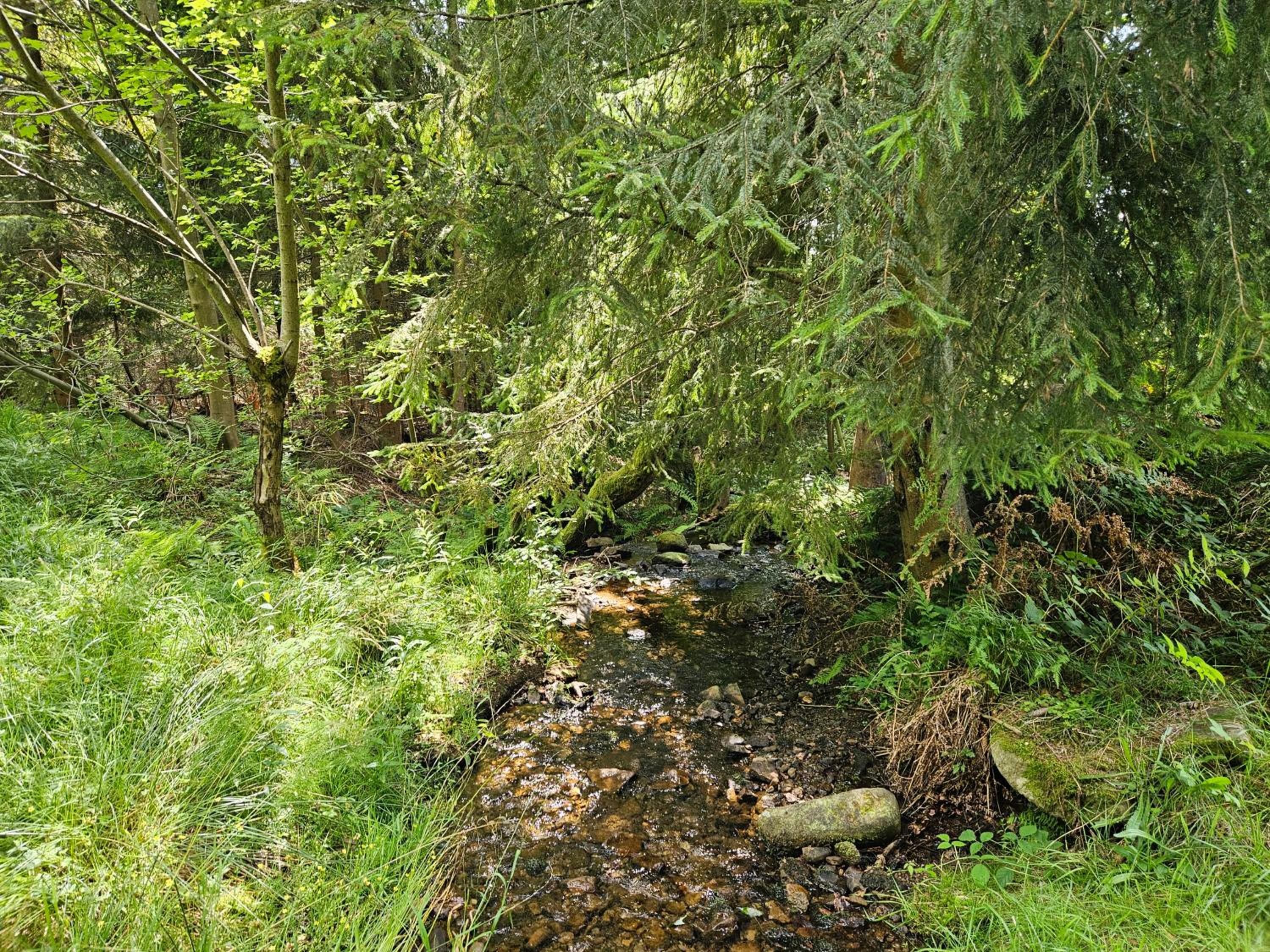 Photo 31