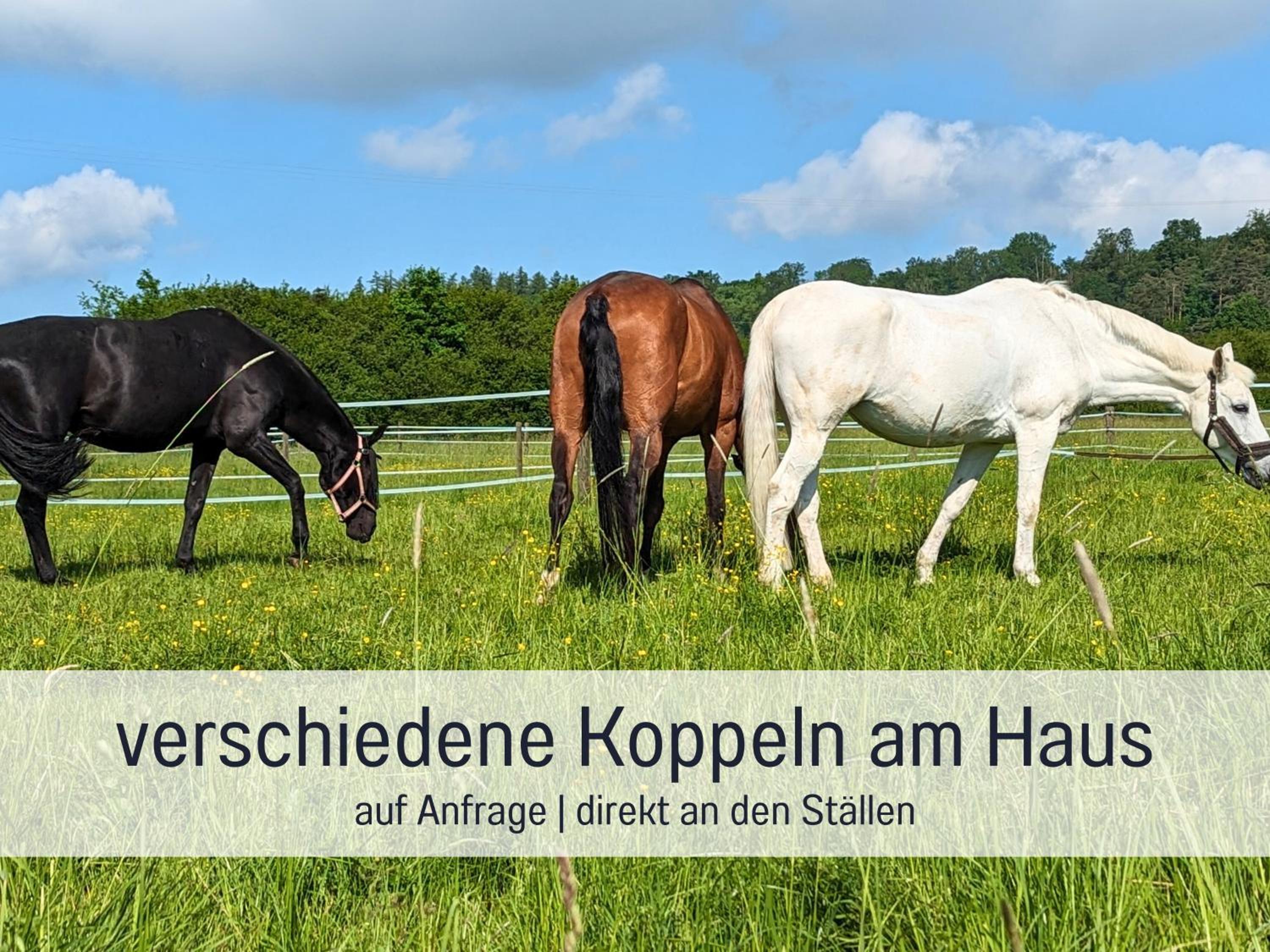 Gut Weihersmühle
