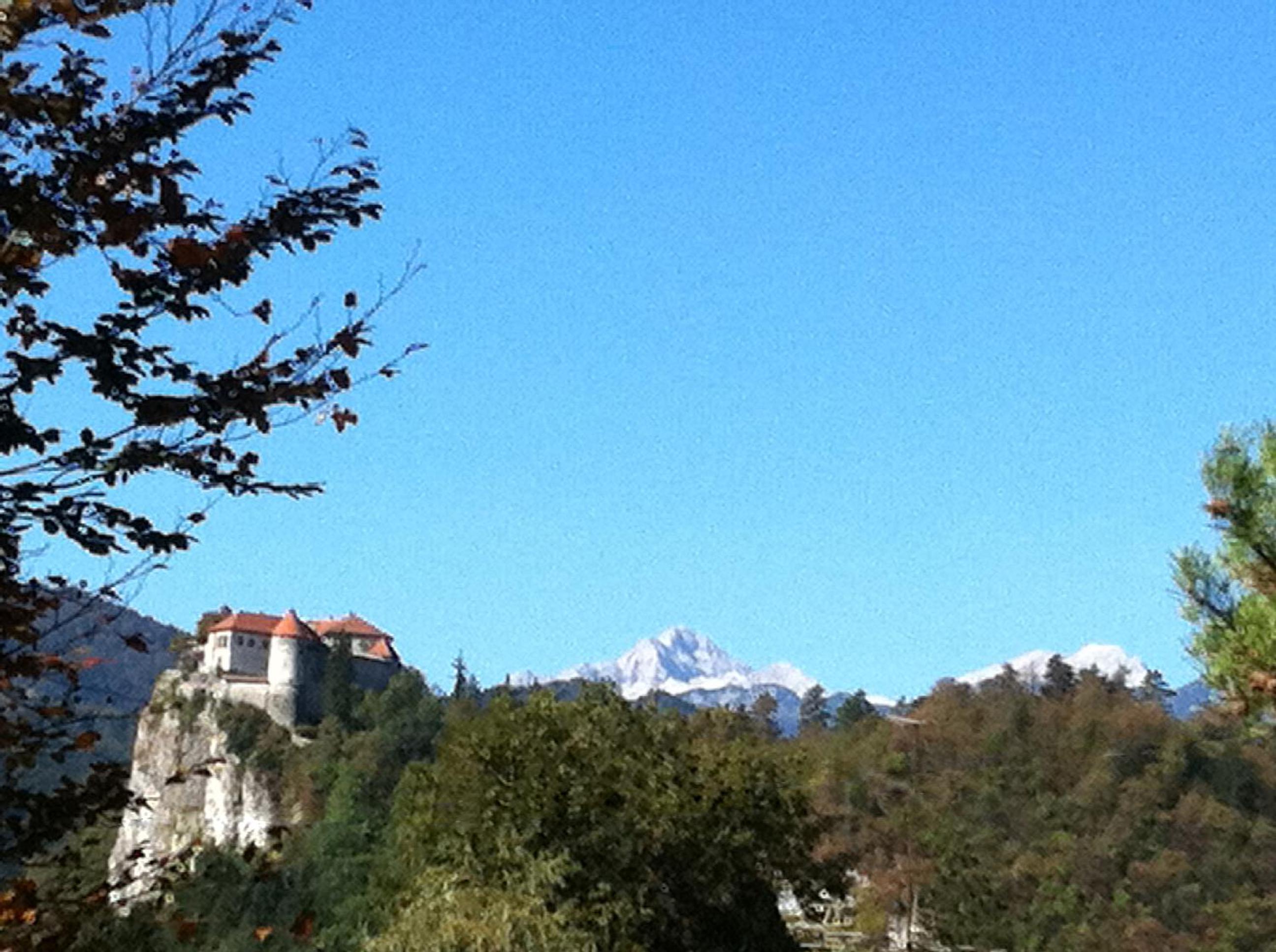 Photo 11