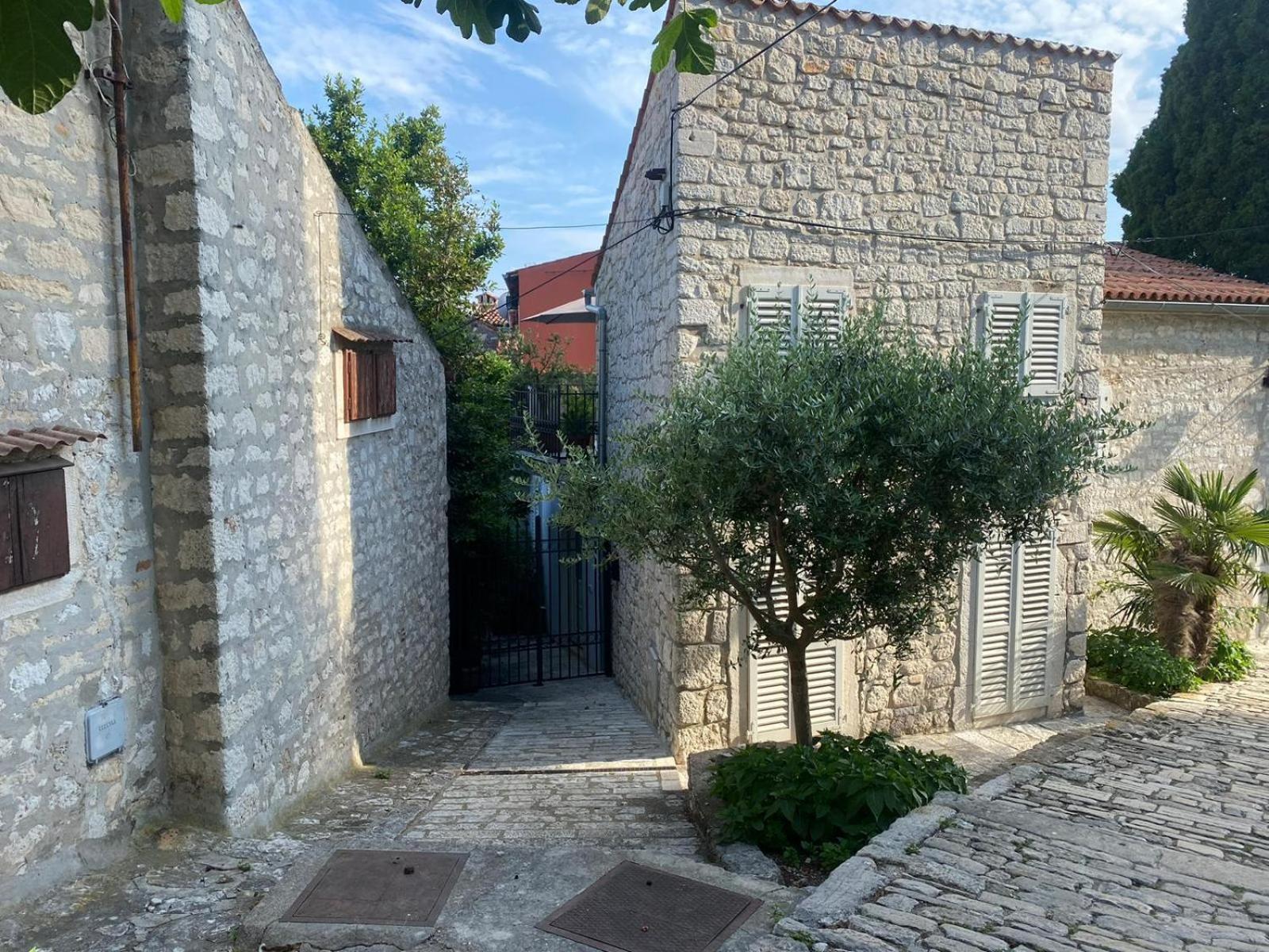 Tiny House Fuma view 2