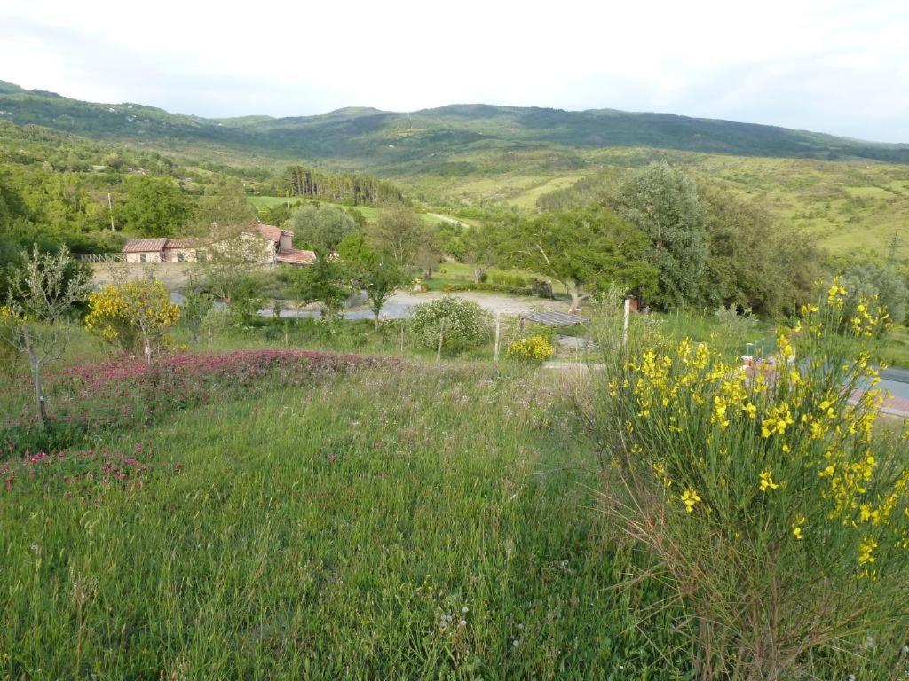 Casale per 12 persone, Pievevecchia, Santa Fiora view 2