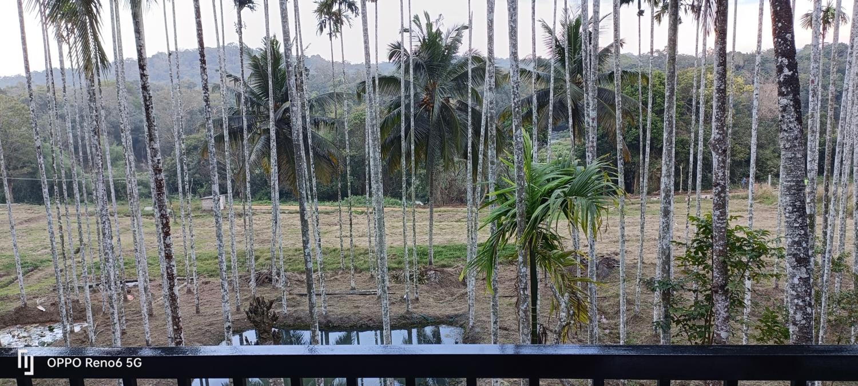 Kalloos Homestay