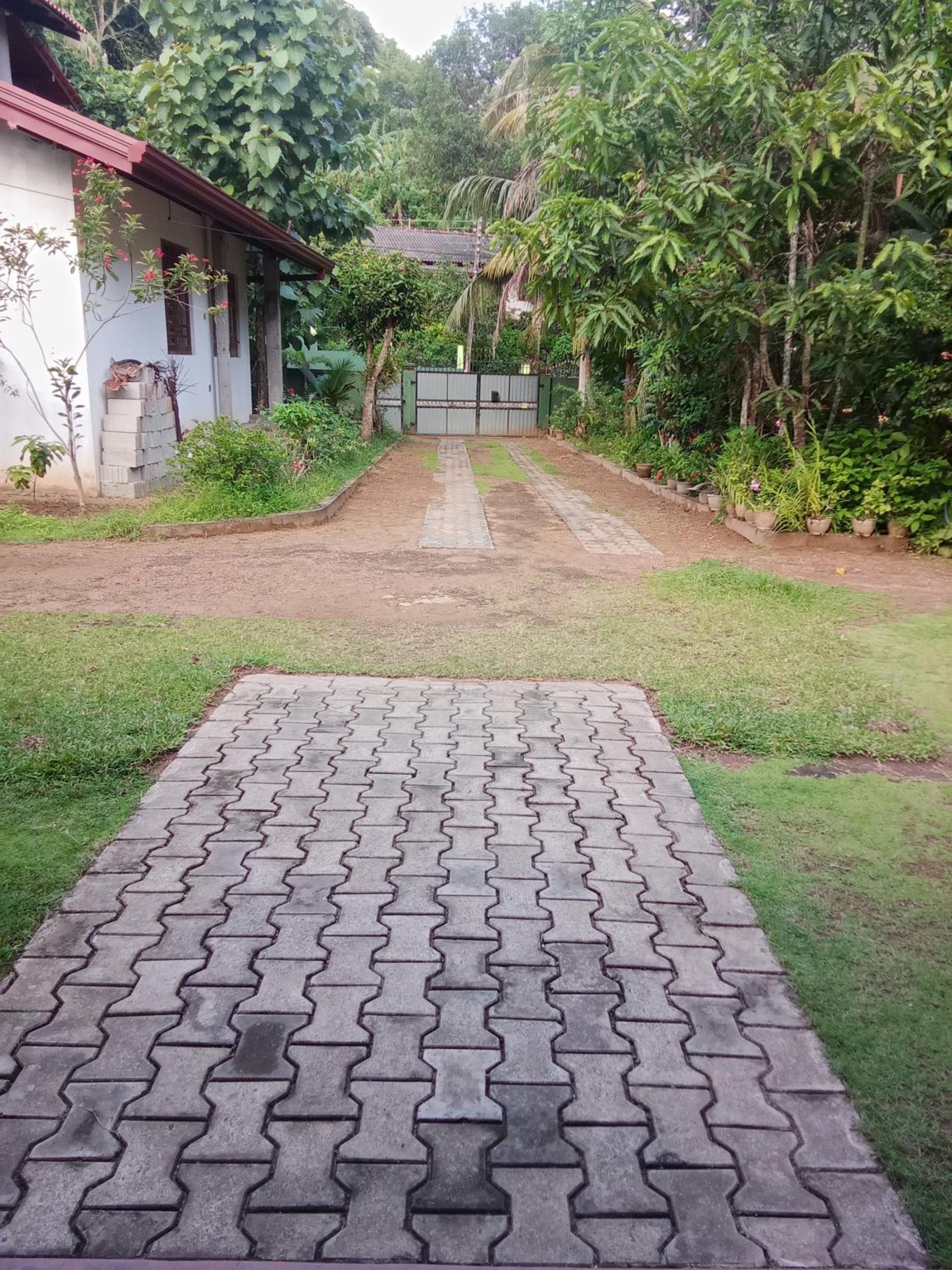 Photo 22