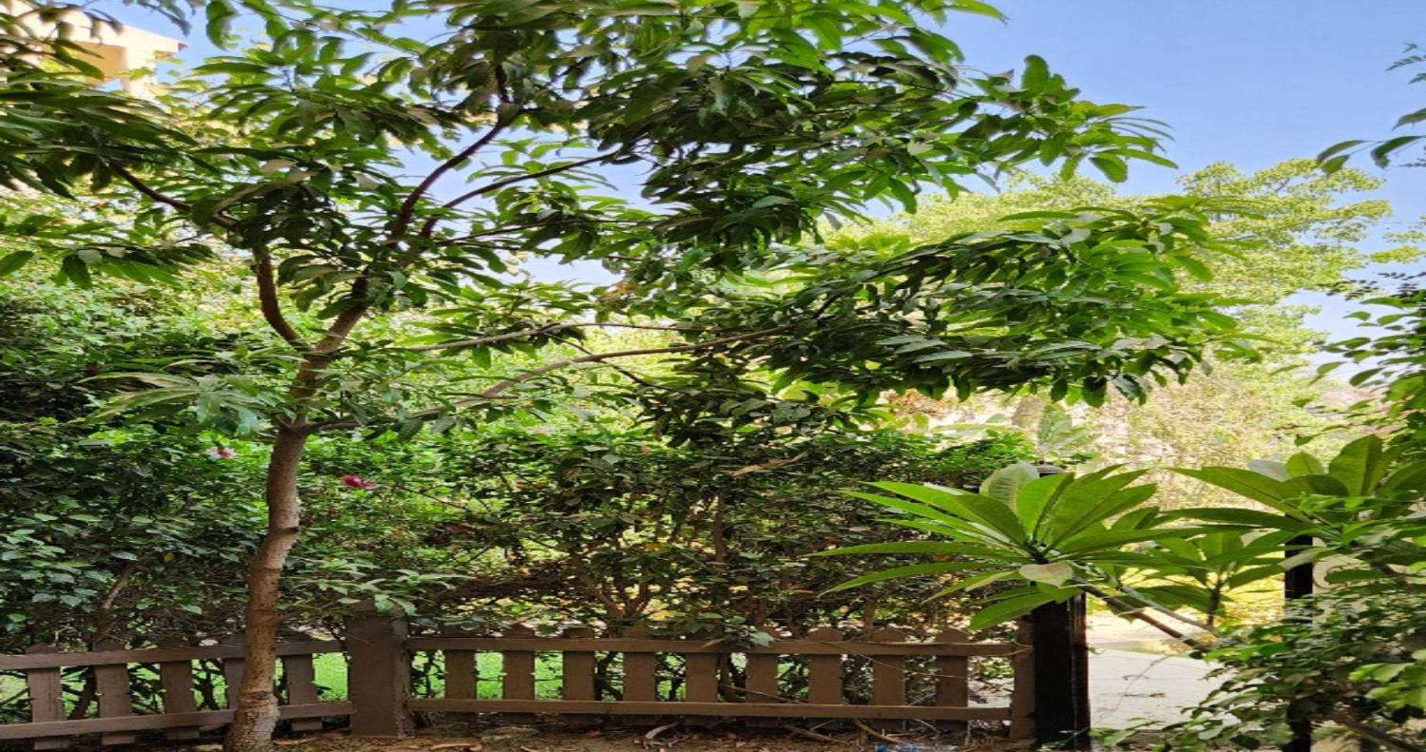 petite villa Rehab city