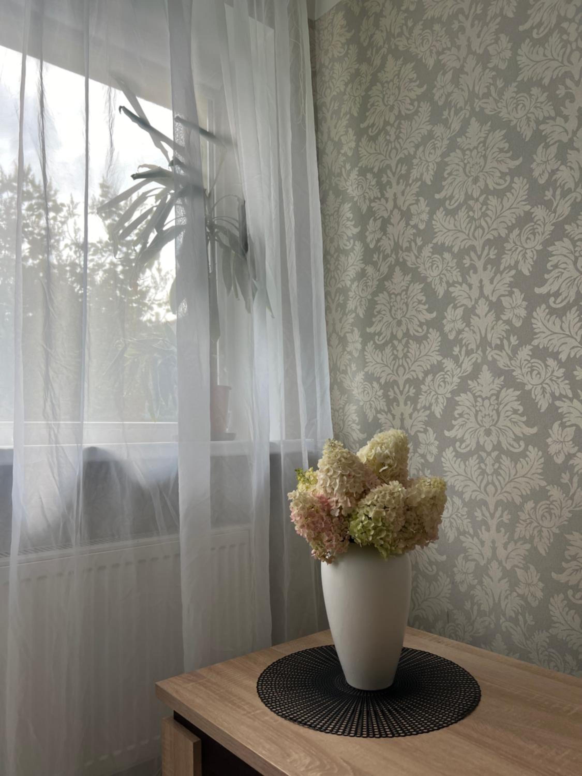 Vītolu apartment