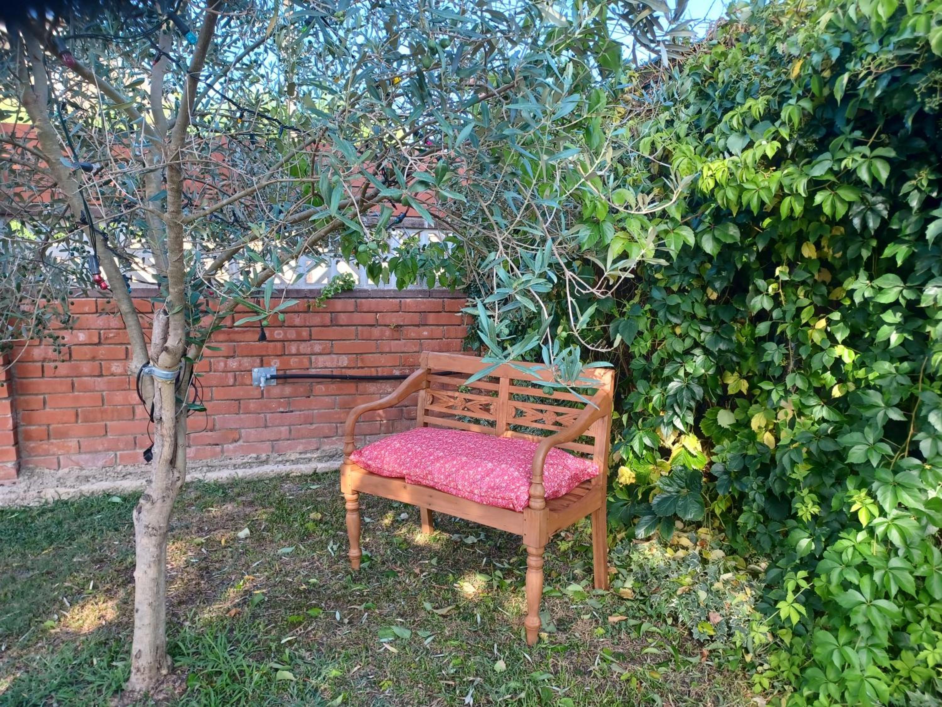 Photo 44