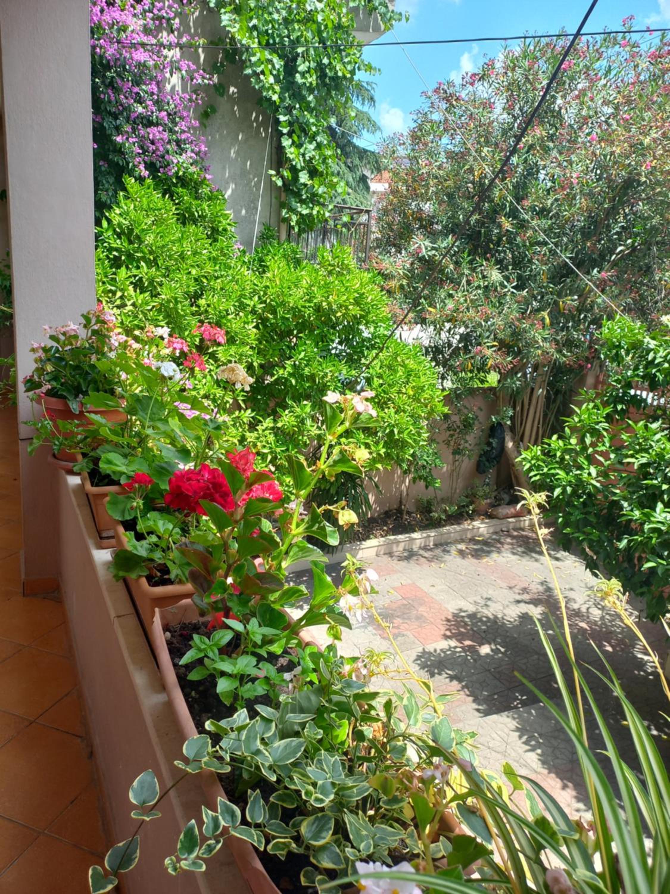 Flowers Guesthouse