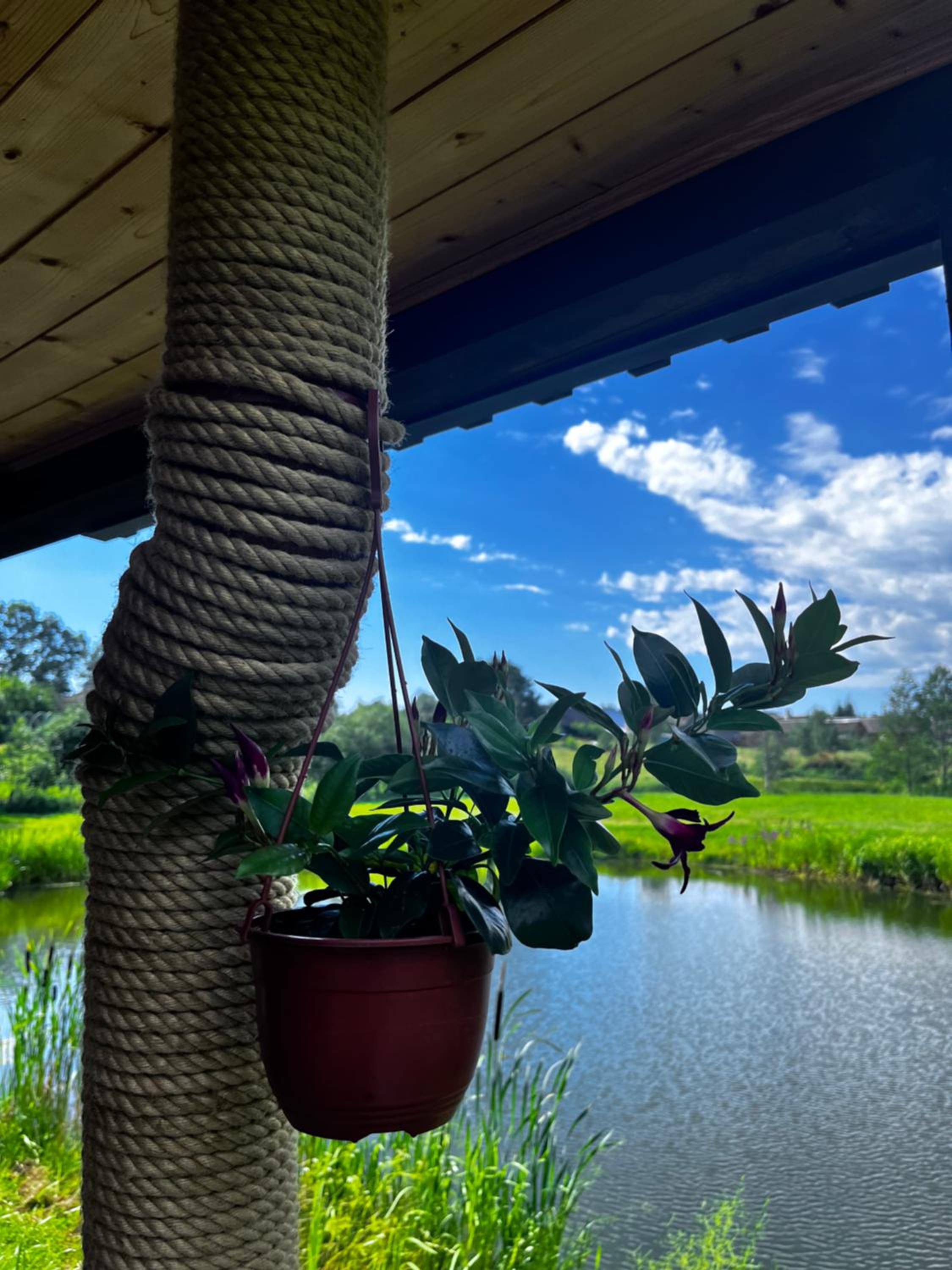 Homestead Ajerai