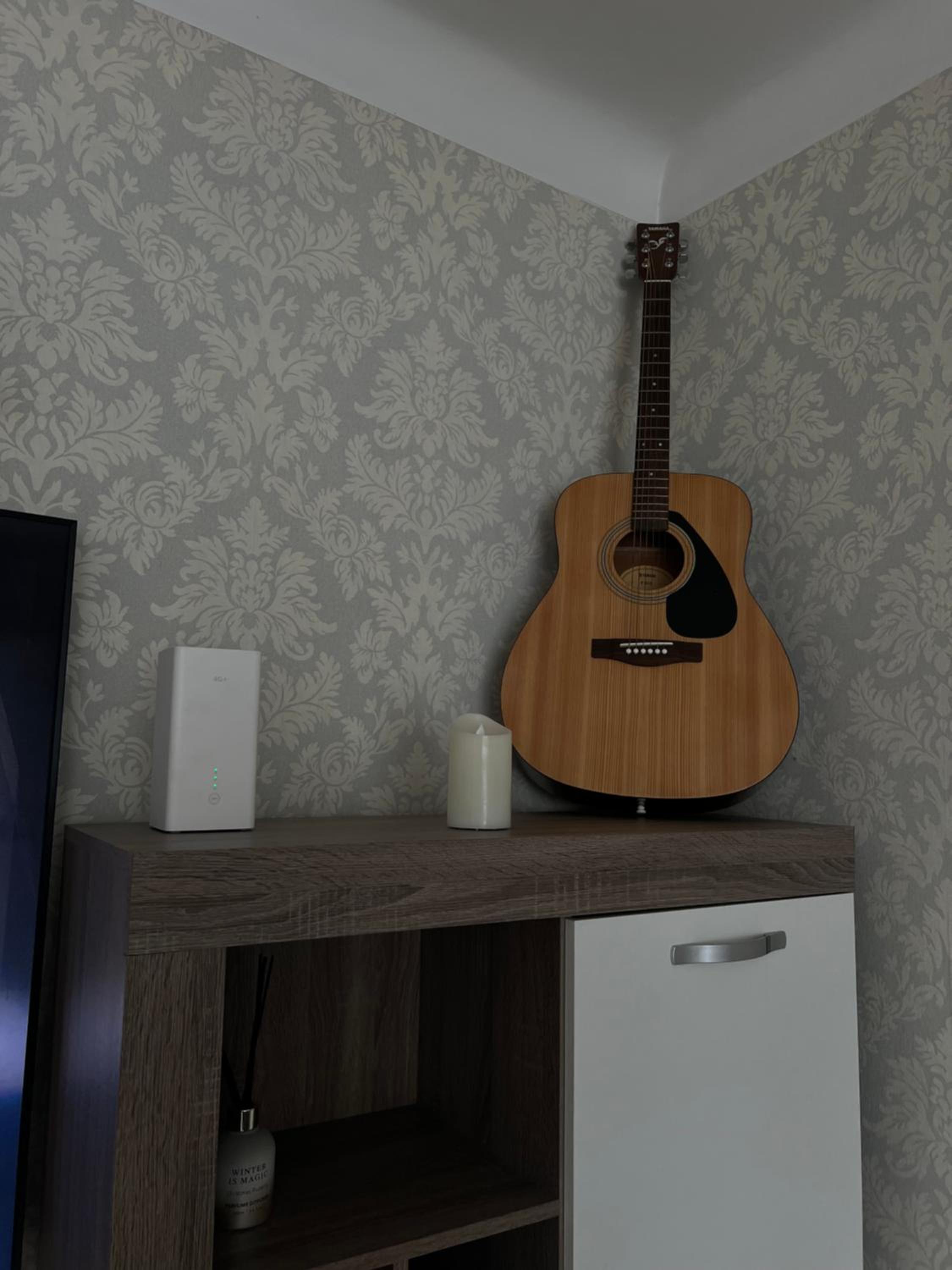 Vītolu apartment